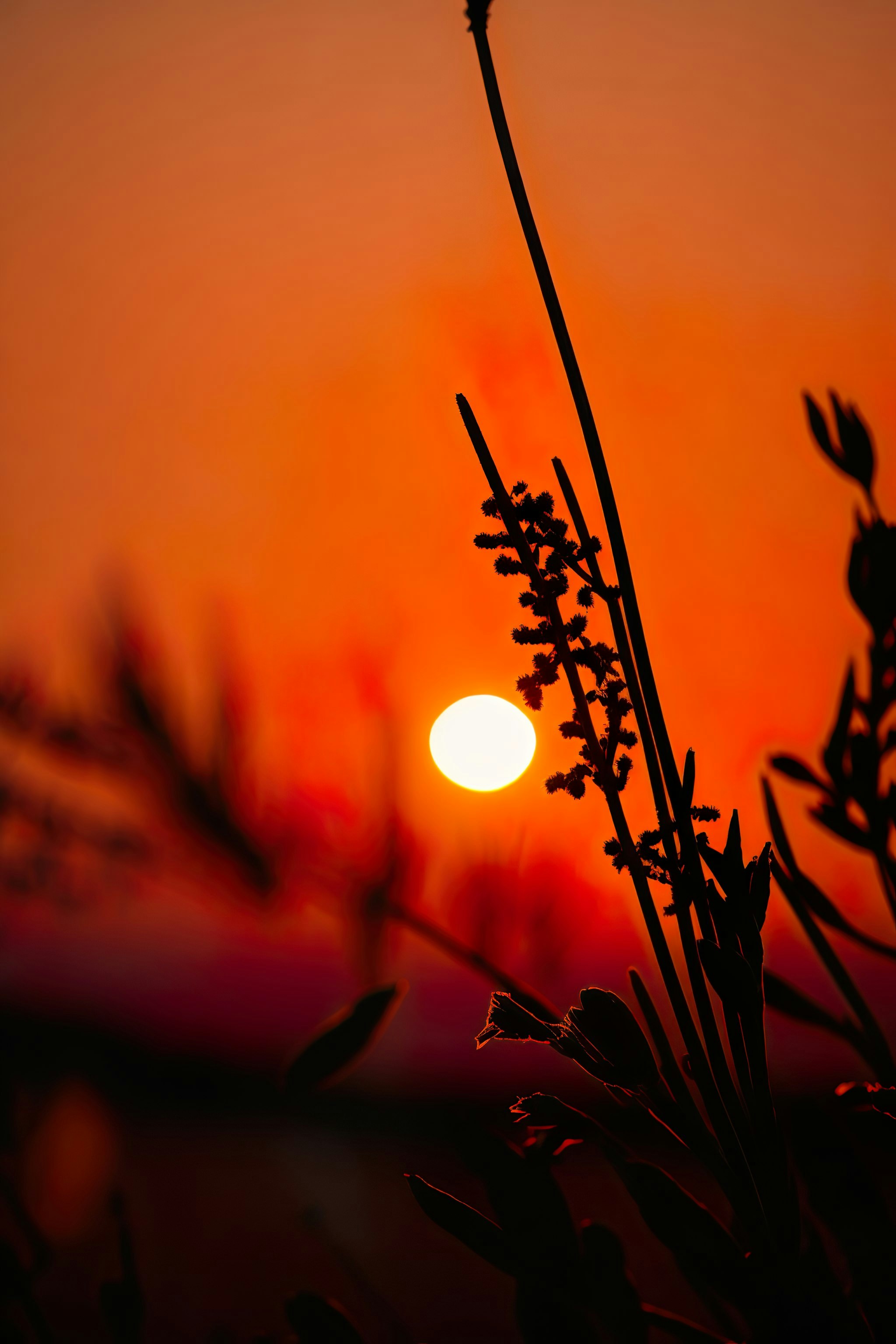 Photo by summer_shadow