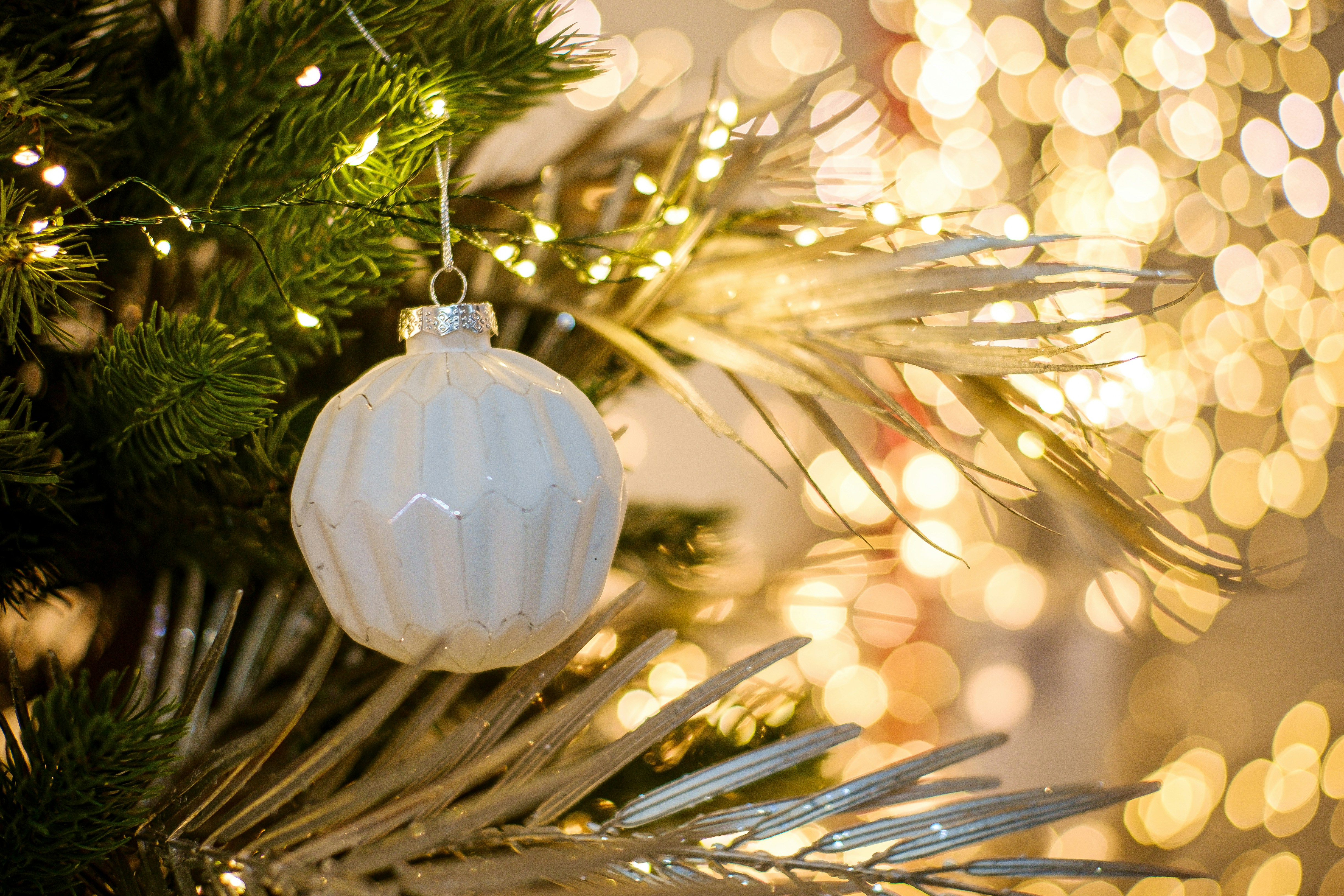 Photo by frostroomhead