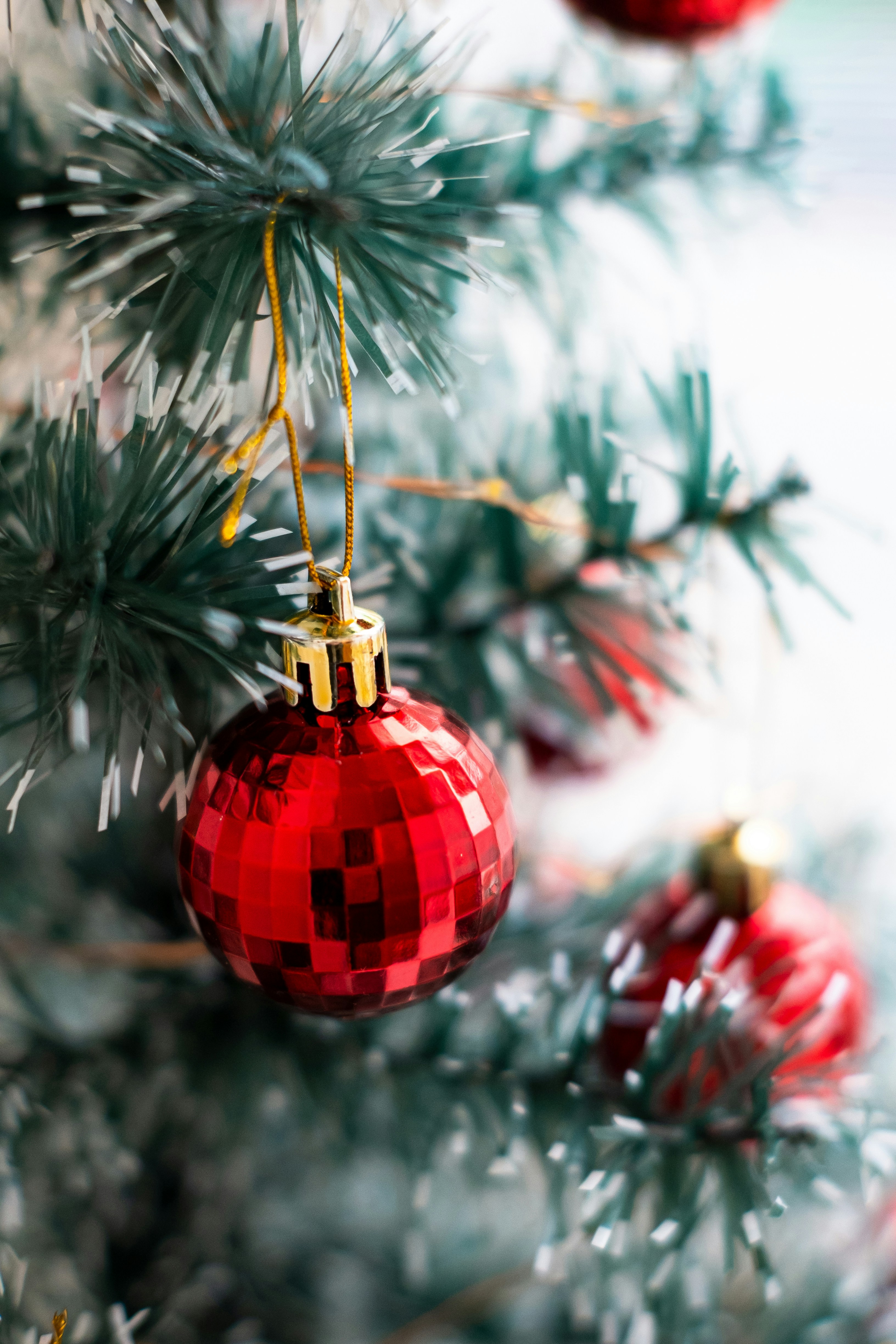 a red ornament hanging from a christmas tree