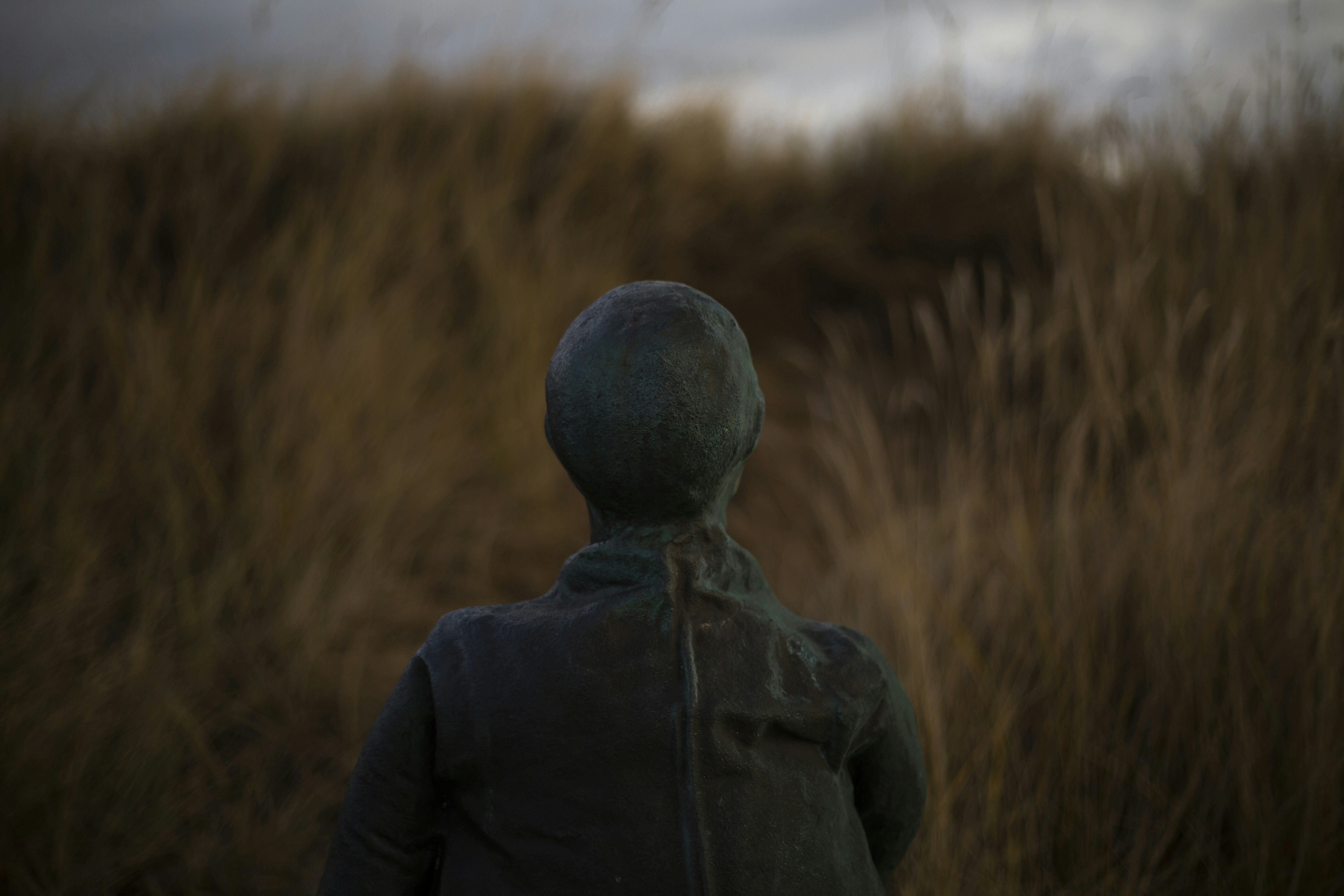 a person standing in a field of tall grass