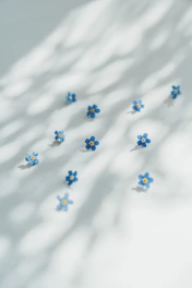 a group of blue flowers sitting on top of a white surface