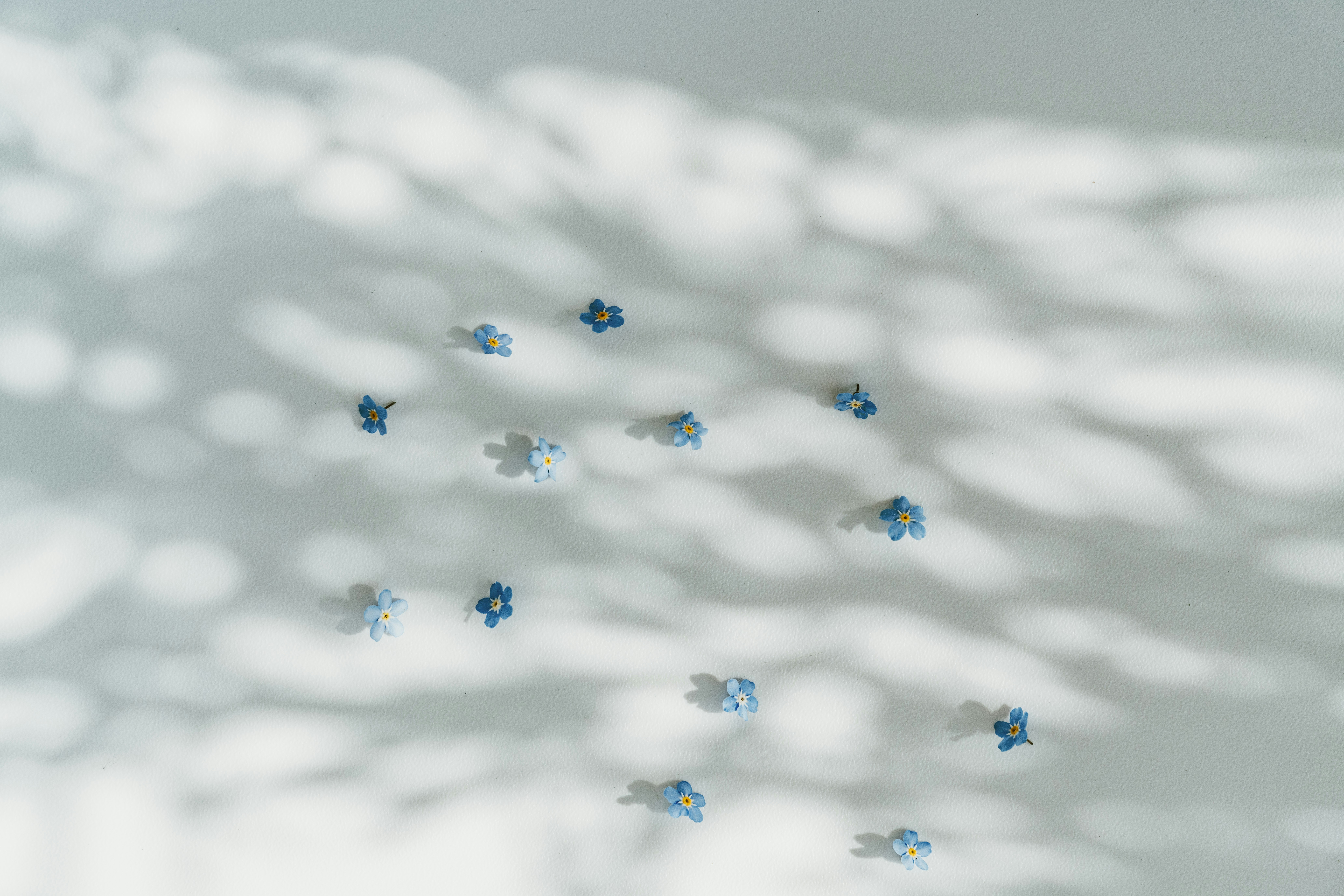 Photo by anitaaustvika