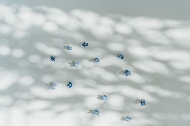 Subtle sky-blue petals scattered across a minimalist cream desk.