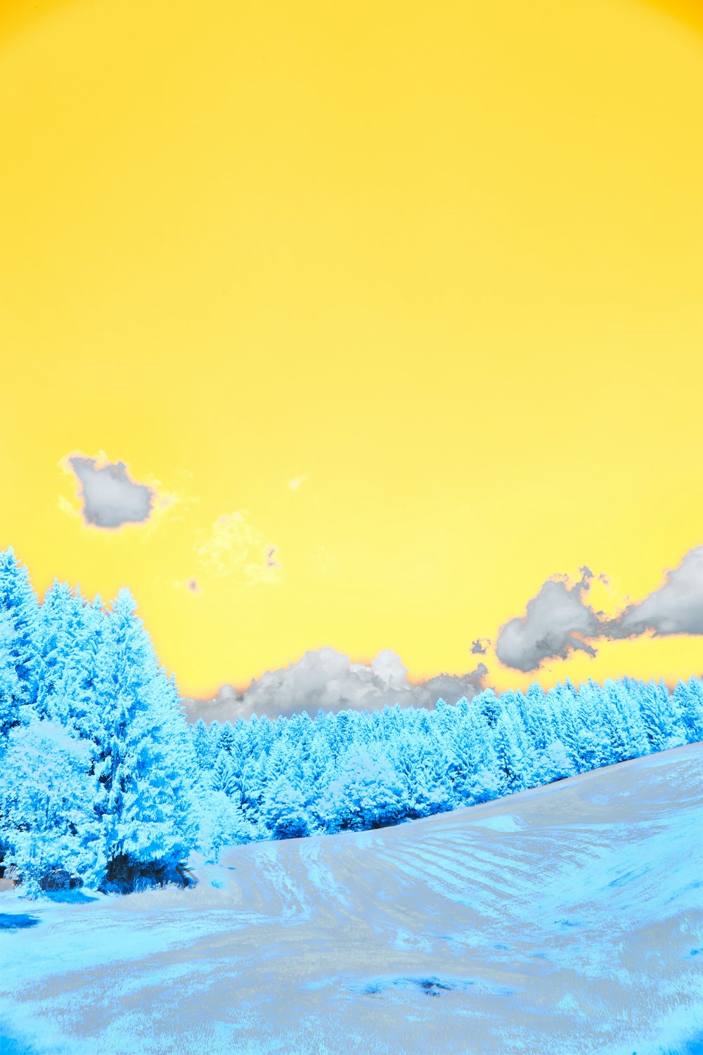 a snow covered field with trees under a yellow sky