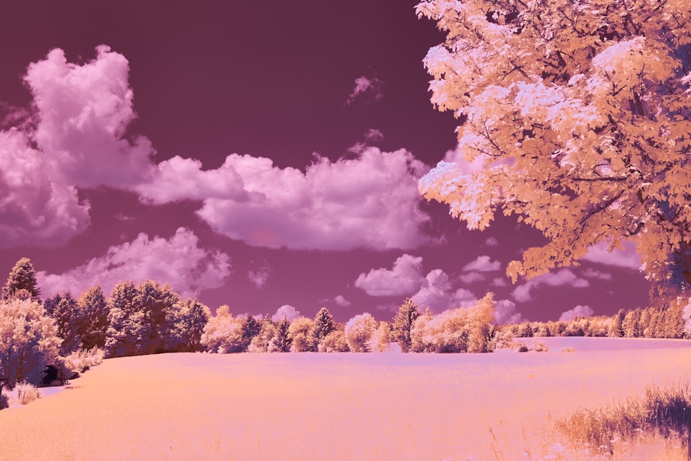 a infrared image of a field with trees and clouds