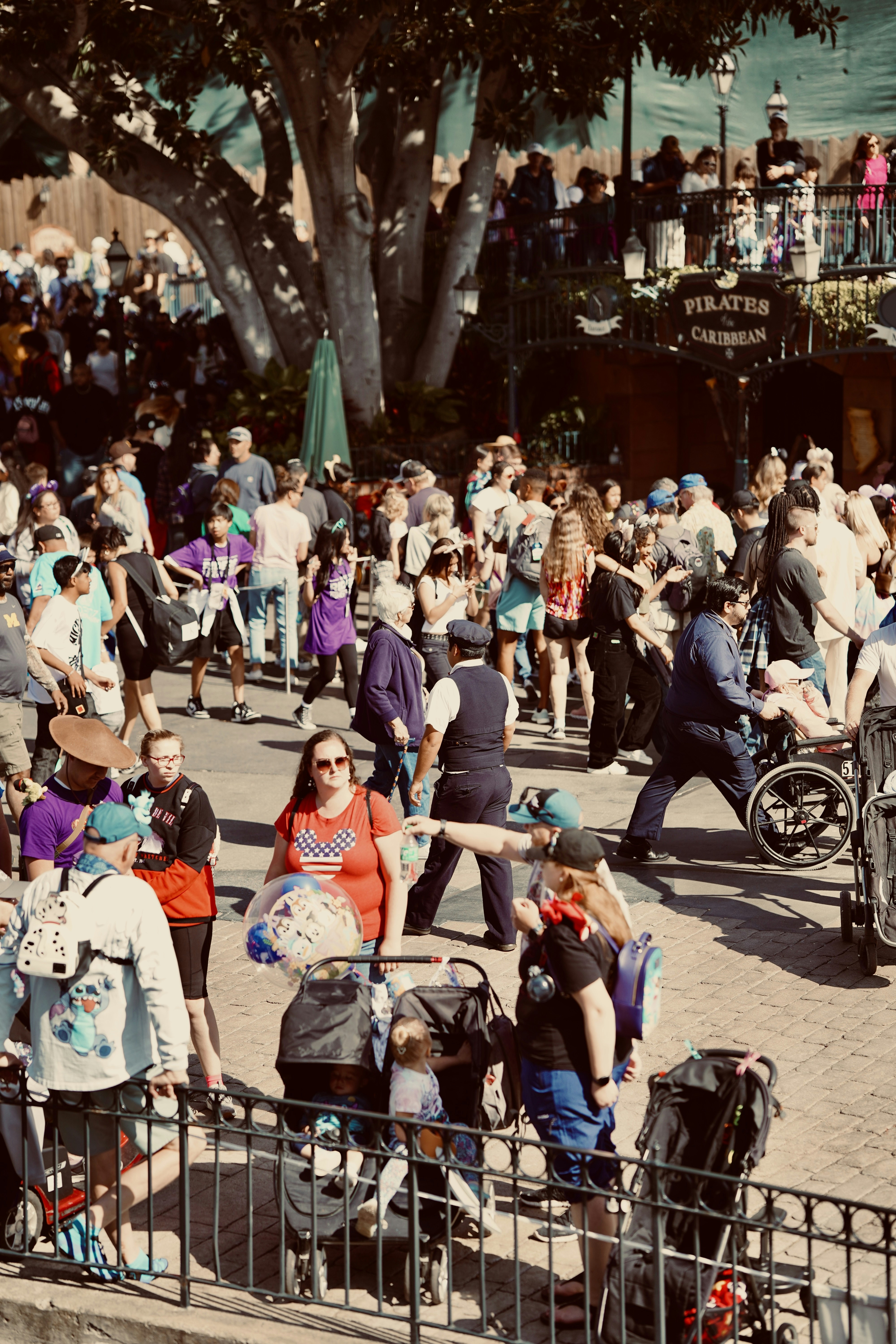 Disney Crowds