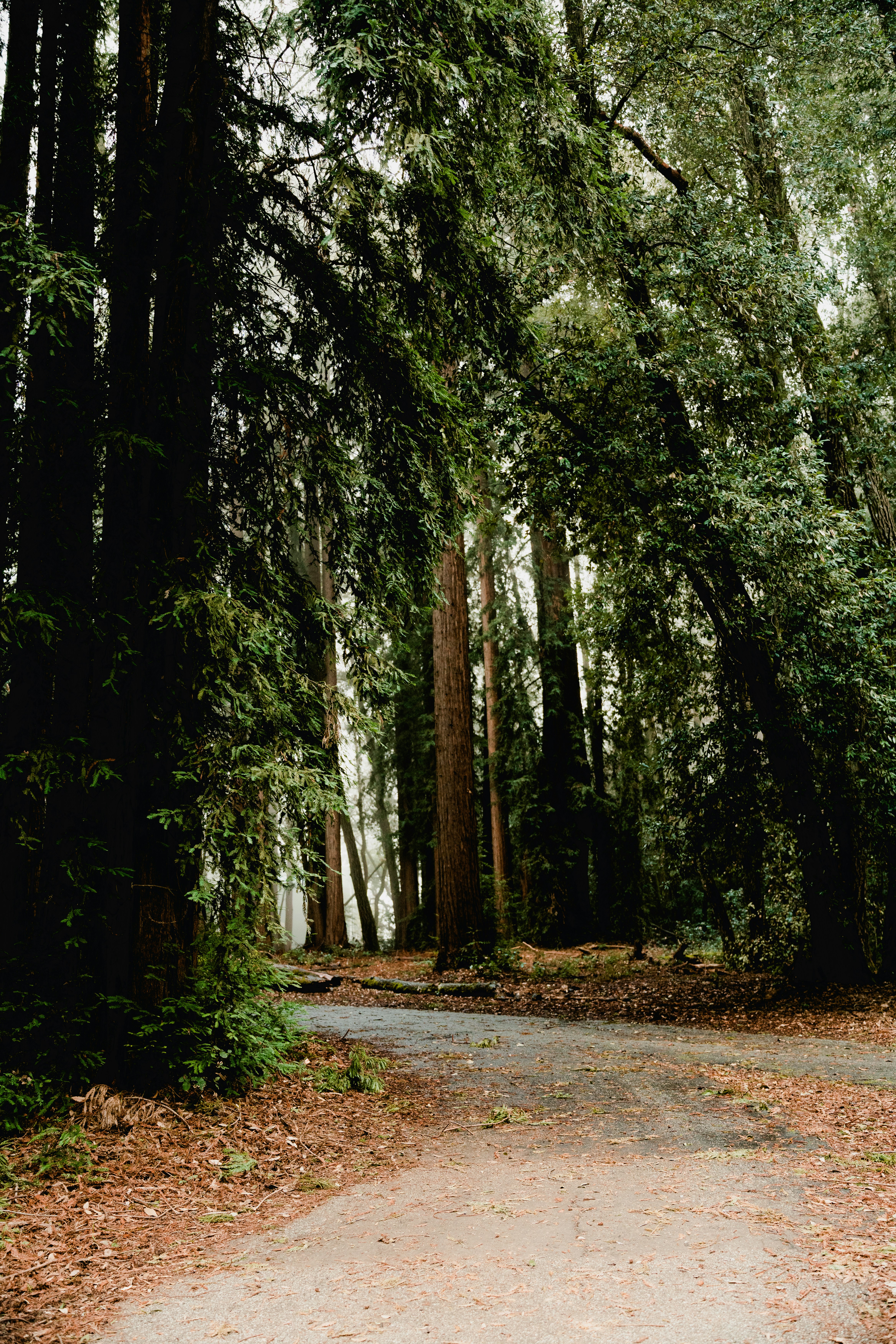 Photo by matthewjungling