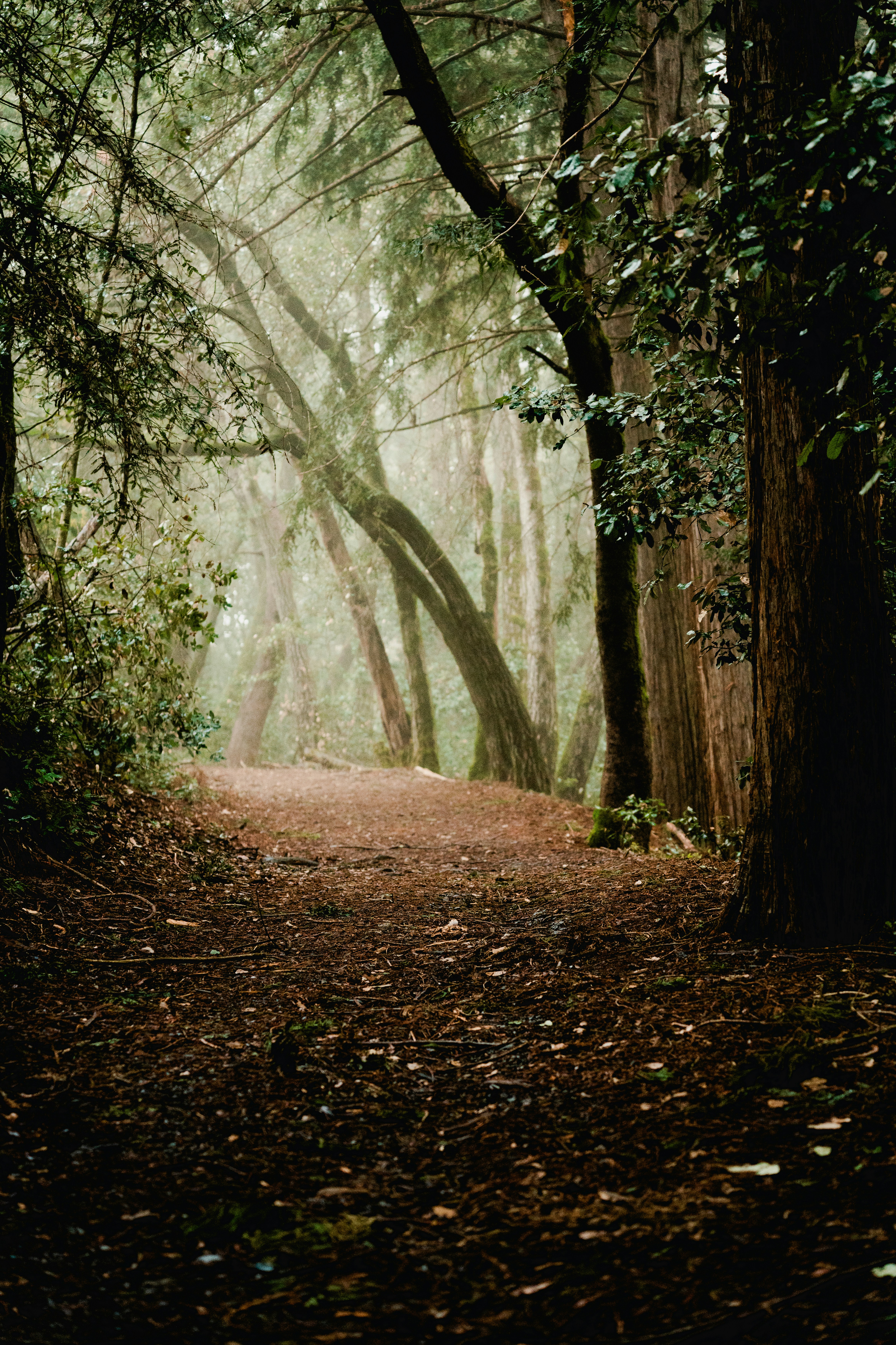 Photo by matthewjungling