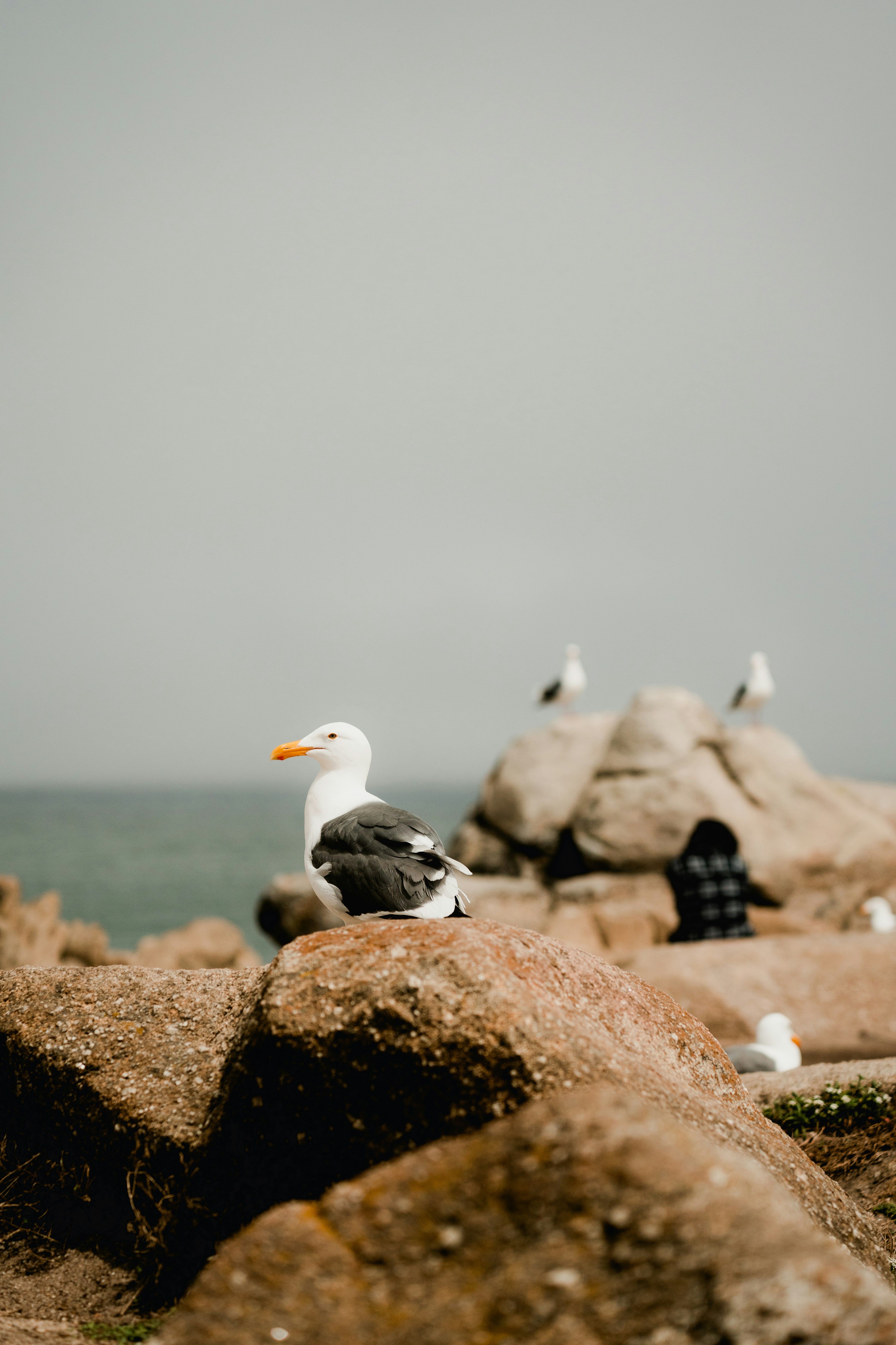 Photo by matthewjungling