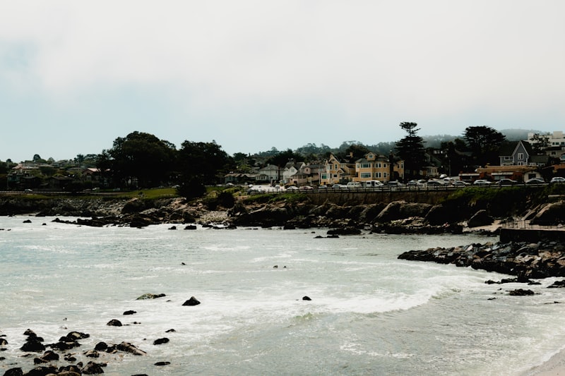 a body of water near a beach with houses in the background