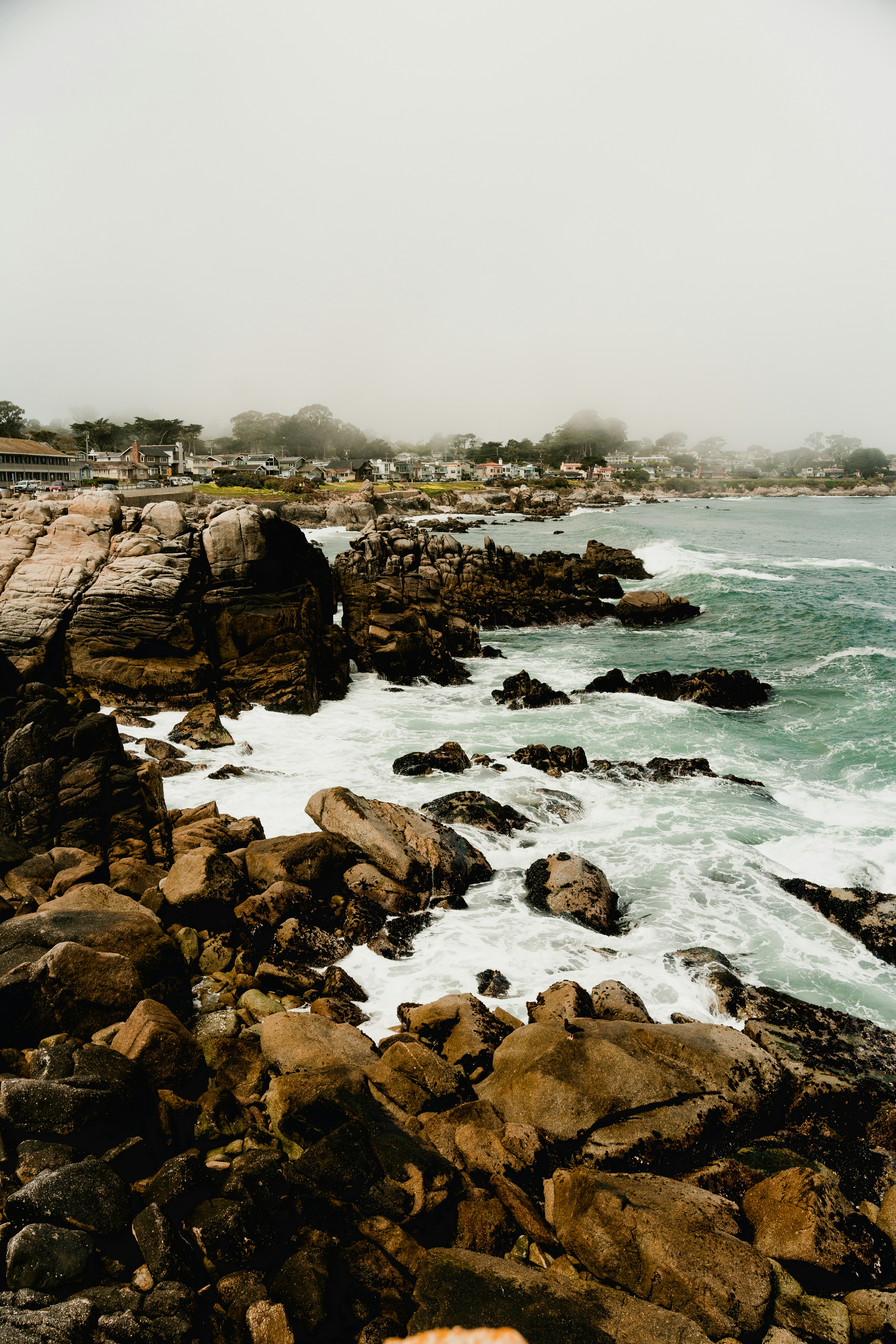 Photo by matthewjungling