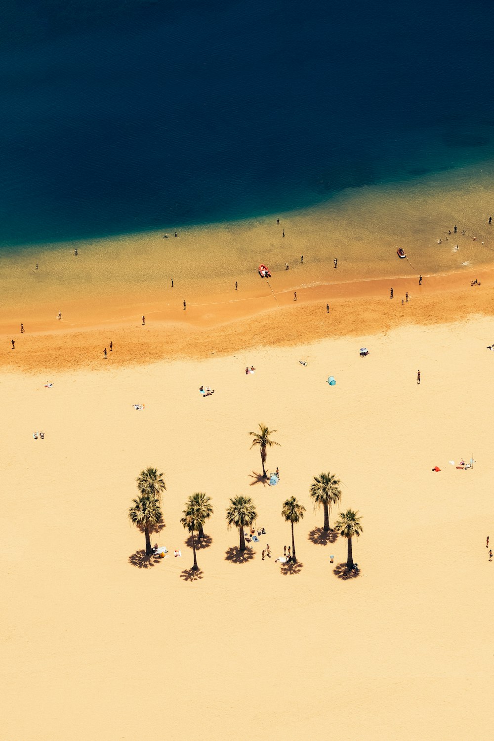 a beach with a lot of people and palm trees