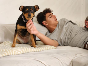 A cozy living room scene with a dog calmly sitting next to its owner holding a smartphone ready to upload a video.