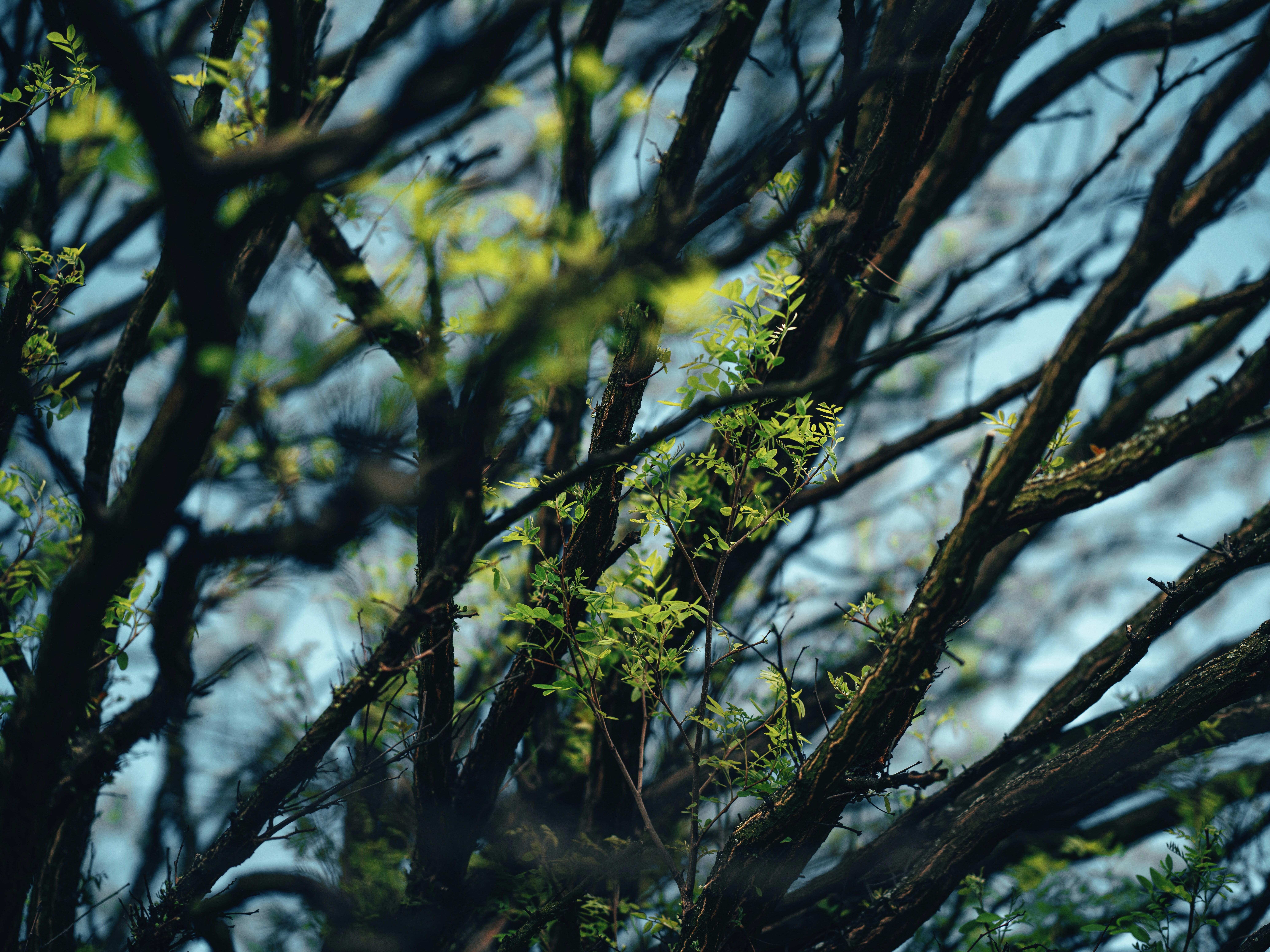 Photo by egorkomarov