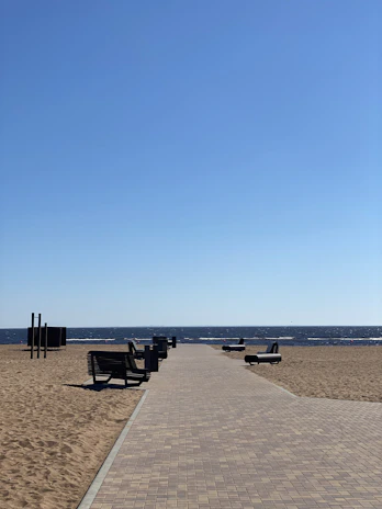 Beachfront pathway lined with white sand and seashells leading to the ocean.