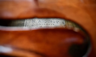 A close-up view of a violin label inside the instrument with the name 'N. Audinot Luthier' visible through the f-hole. The interior wood grain and soft lighting suggest an old, handcrafted instrument.