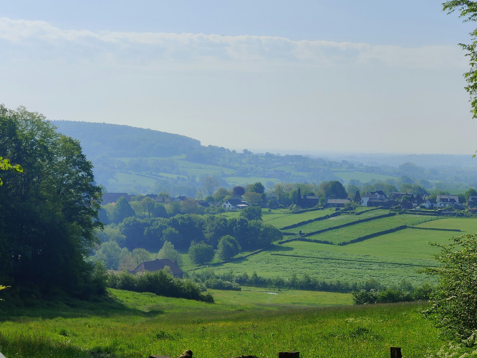 woman wearing yellow long-sleeved dress under white clouds and blue sky during daytime