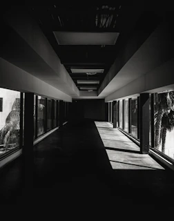 Bright hallway with black-framed windows casting shadows on beige walls.