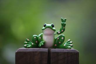a green frog sitting on top of a wooden fence