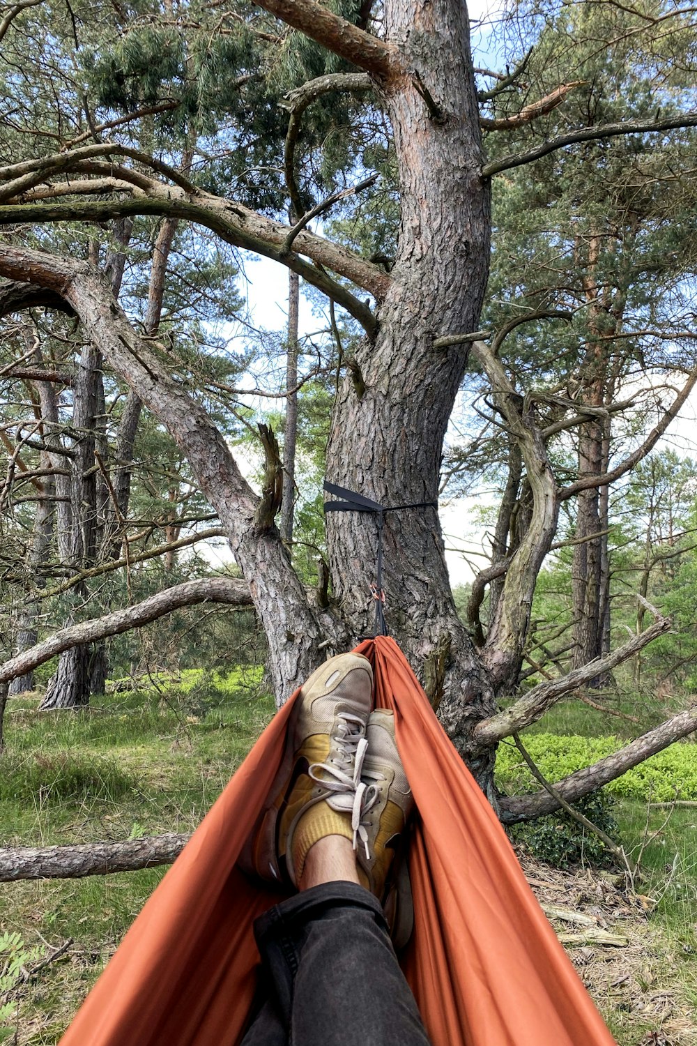 a person laying in a hammock in a forest