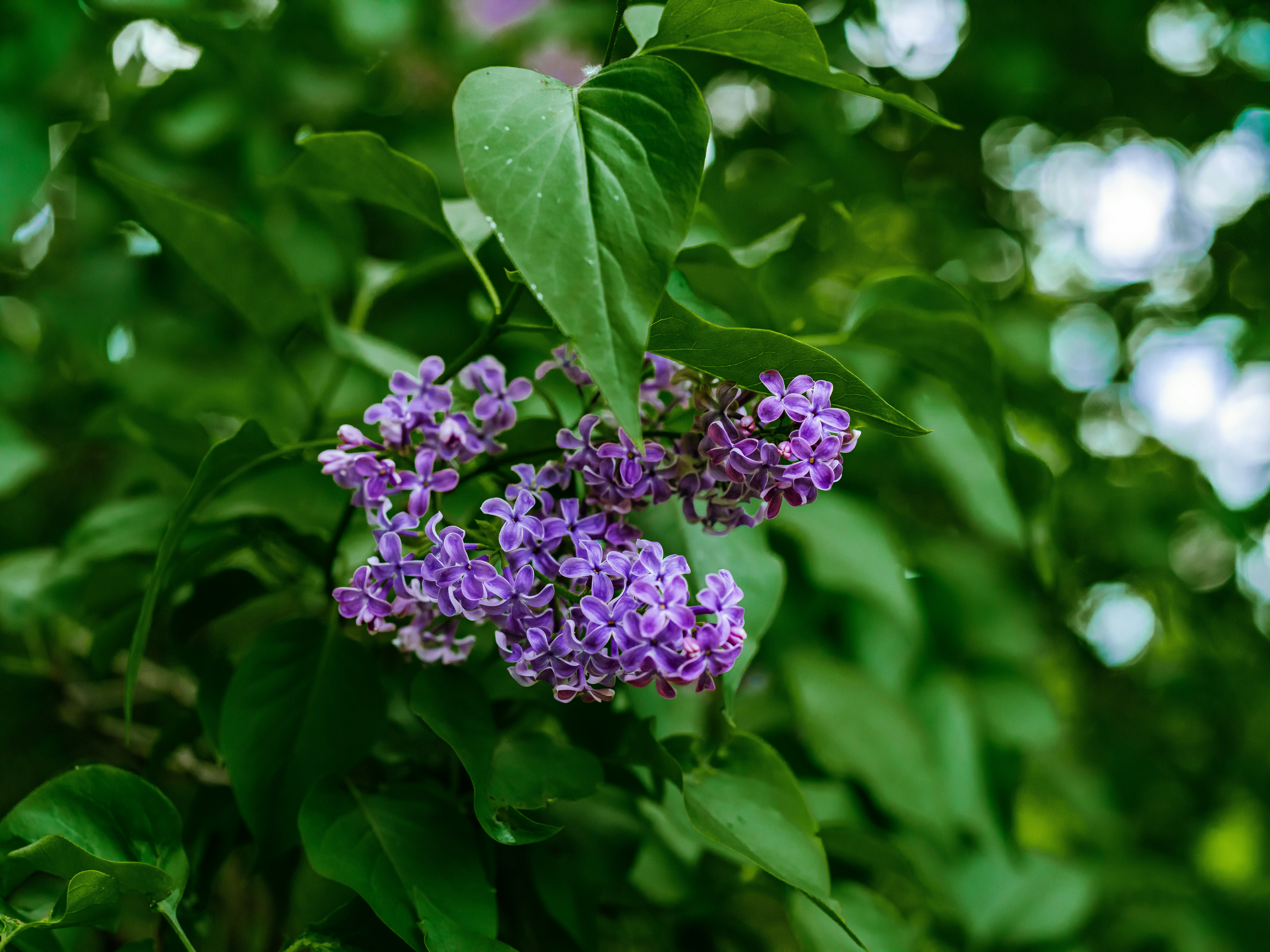 Photo by egorkomarov