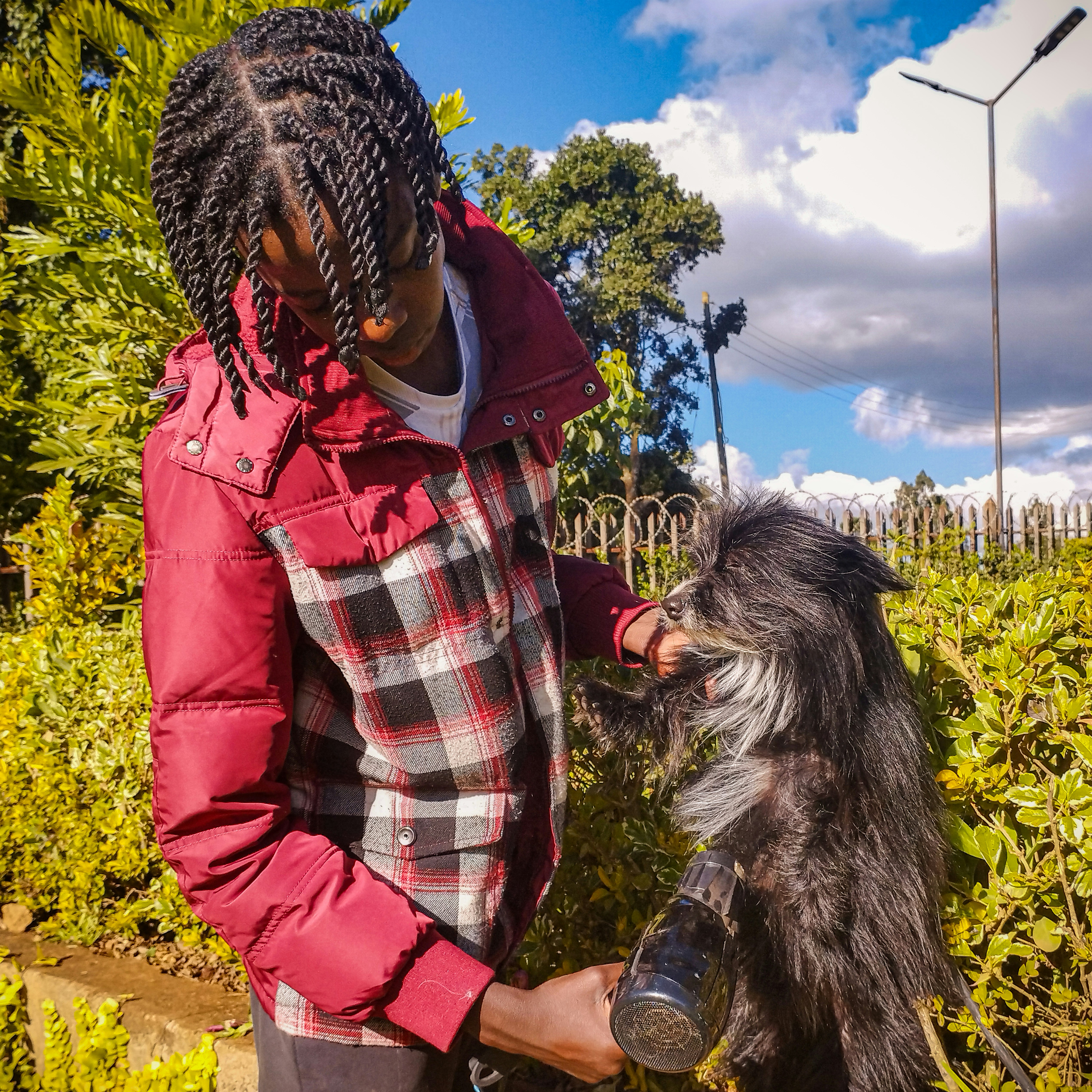 Artículos esenciales para mascotas