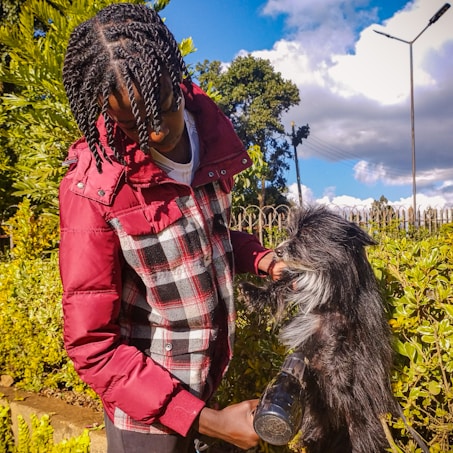 A person in a red and plaid jacket is grooming a small black and white dog. They appear to be using a hairdryer on the dog's fur. The scene is outdoors with greenery and a clear blue sky with some clouds visible in the background.