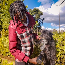 A person in a red and plaid jacket is grooming a small black and white dog. They appear to be using a hairdryer on the dog's fur. The scene is outdoors with greenery and a clear blue sky with some clouds visible in the background.