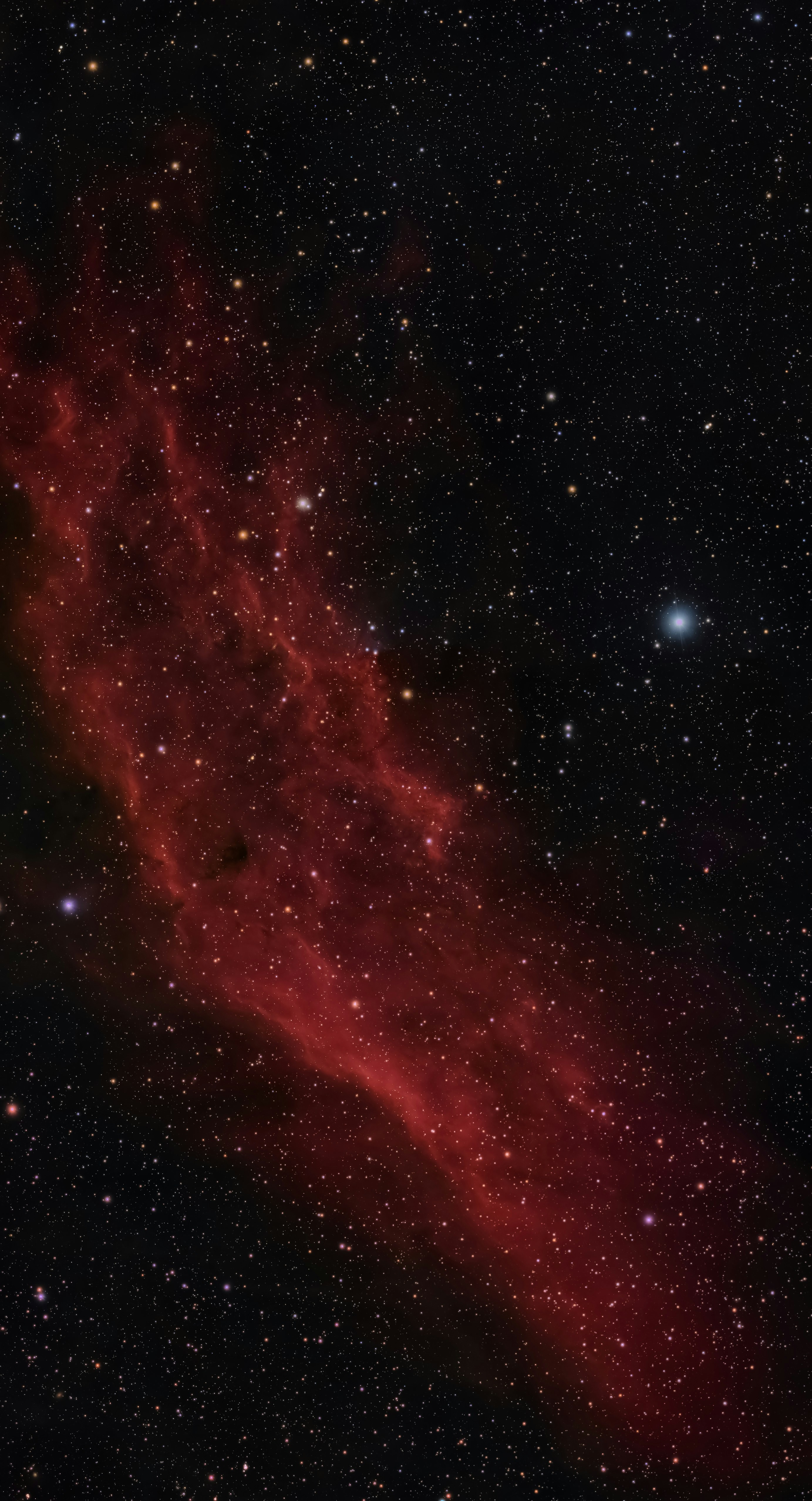 Photo by darkcatimages