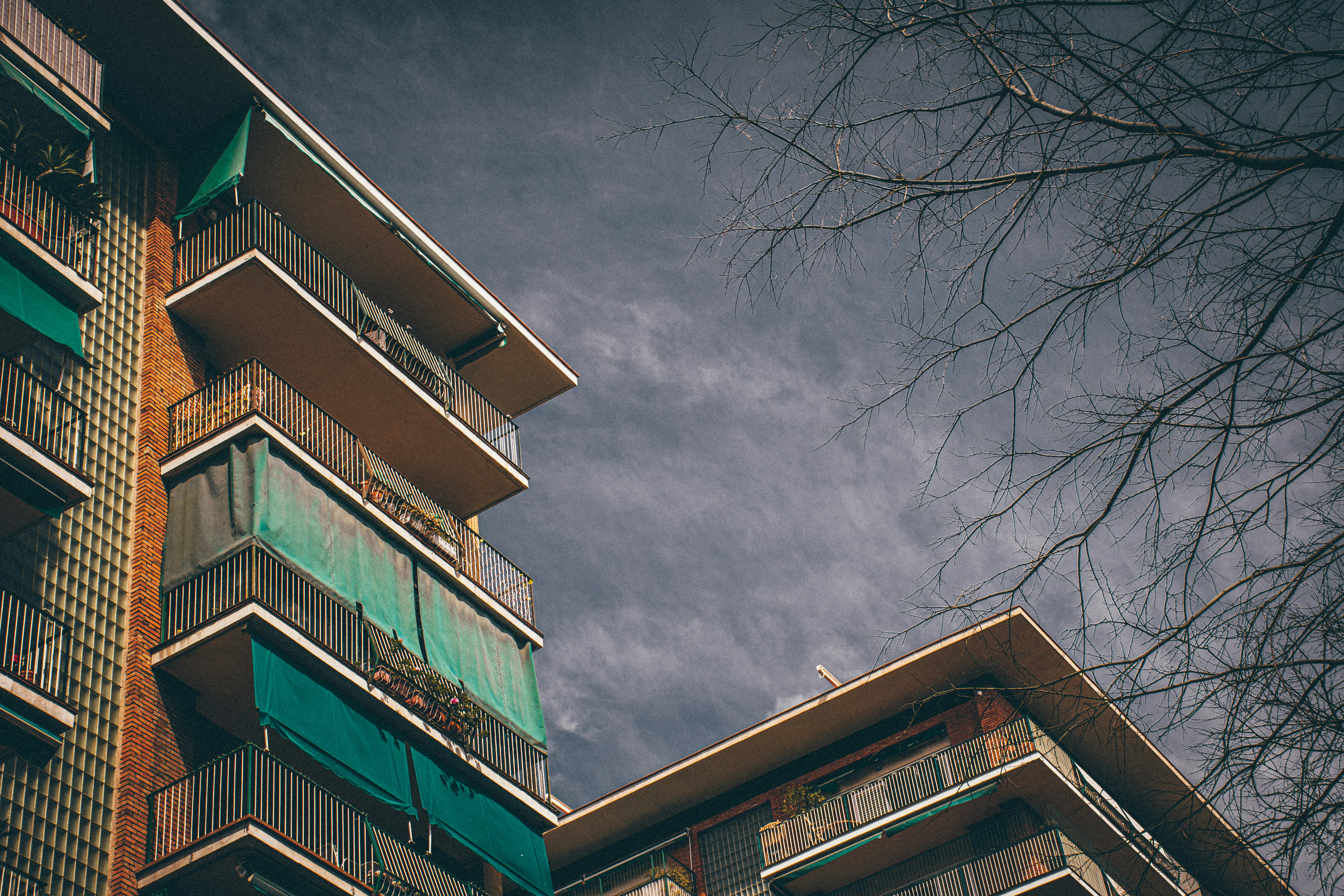 Photo by dantejanssens