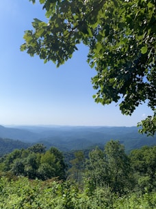 a view of the mountains from a distance