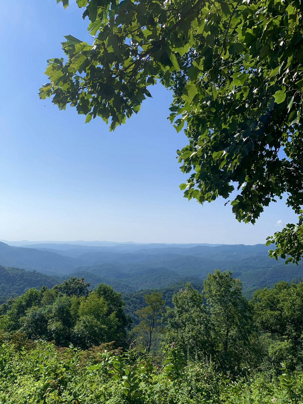 a view of the mountains from a distance