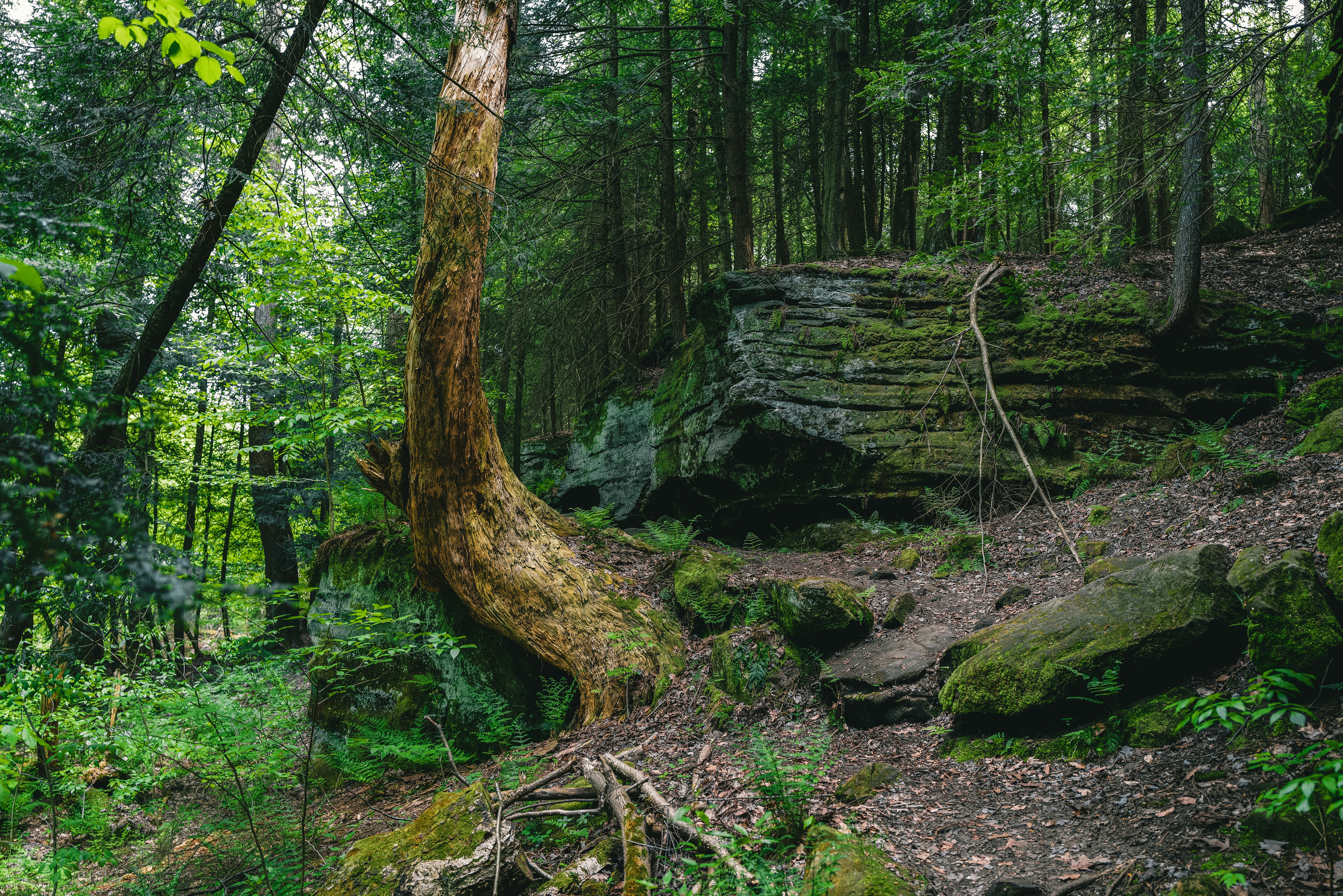 Photo by ryangrewell