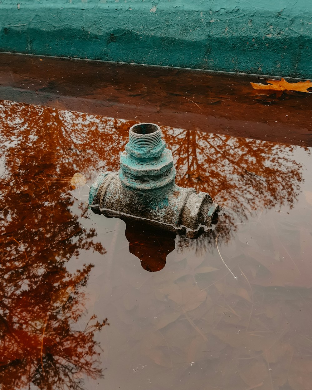 a fire hydrant in the middle of a puddle of water