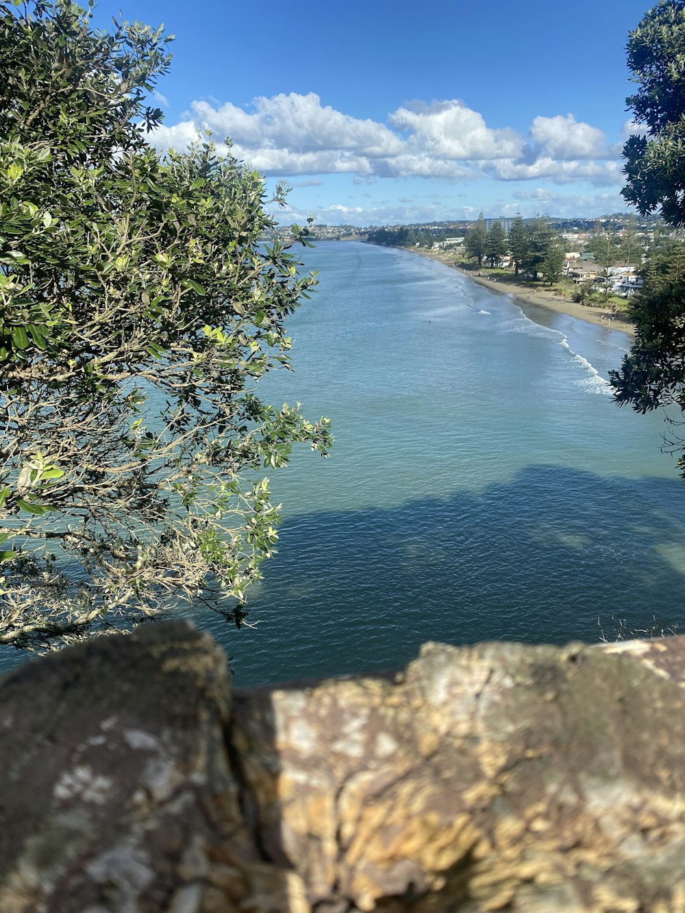 a body of water surrounded by trees and rocks