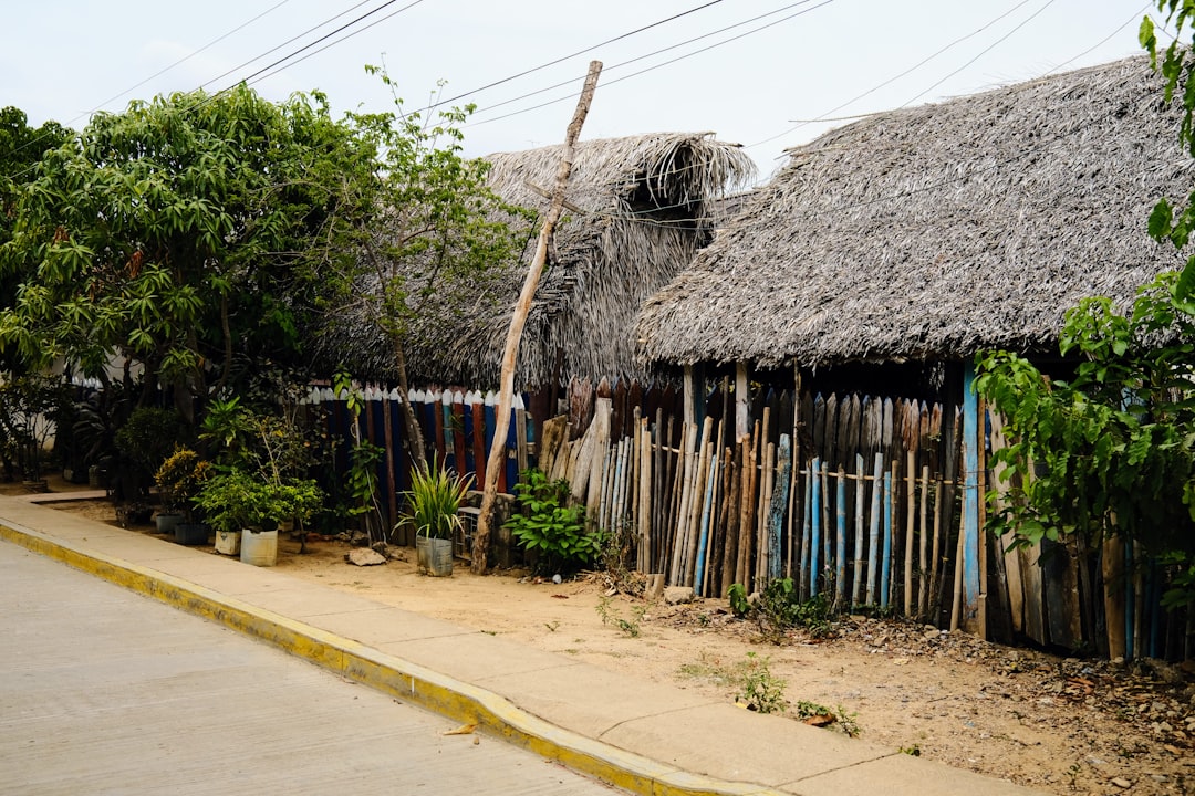 a house with a thatched roof next to a road,