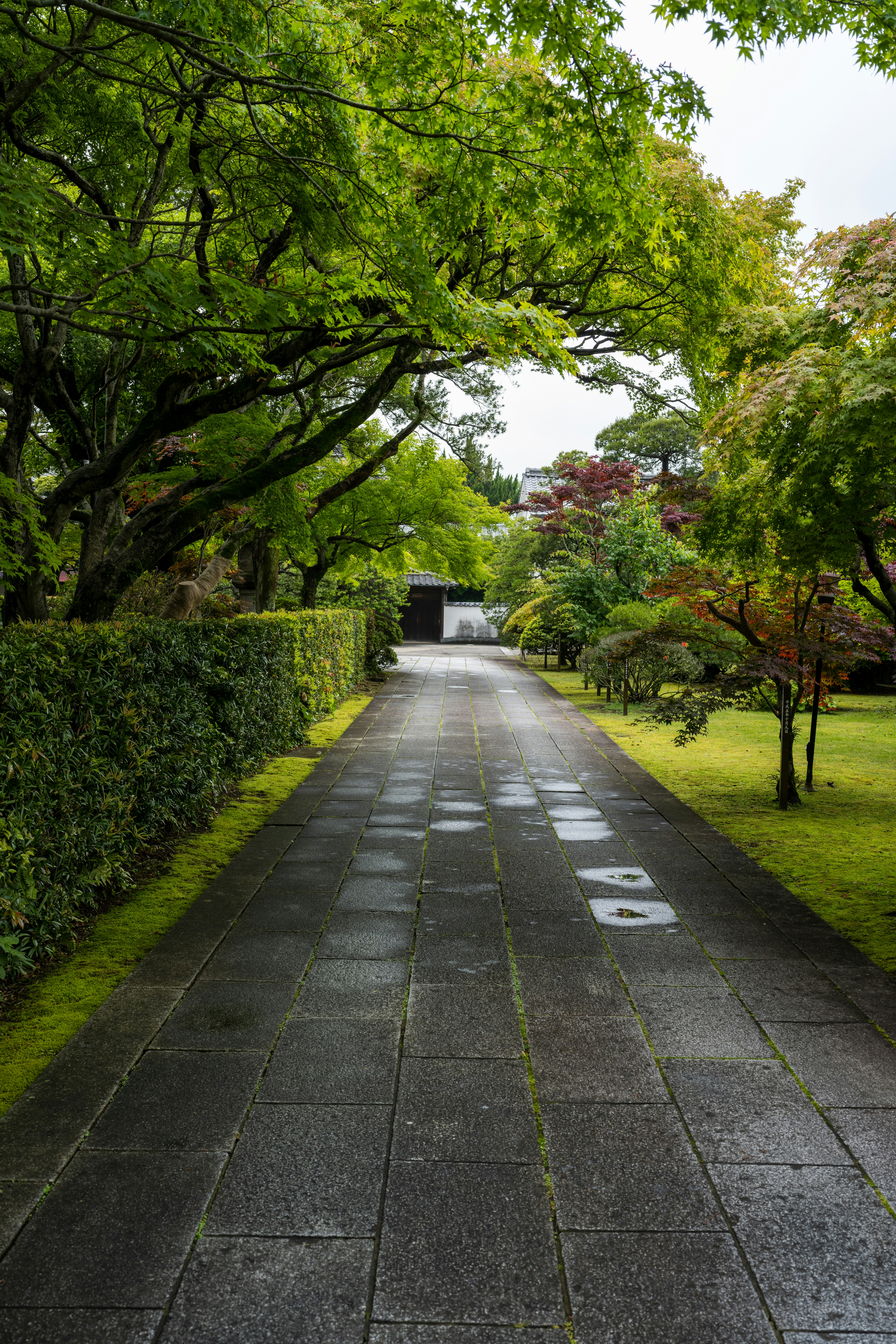 Attractive paver walkway adding charm to garden paths.
