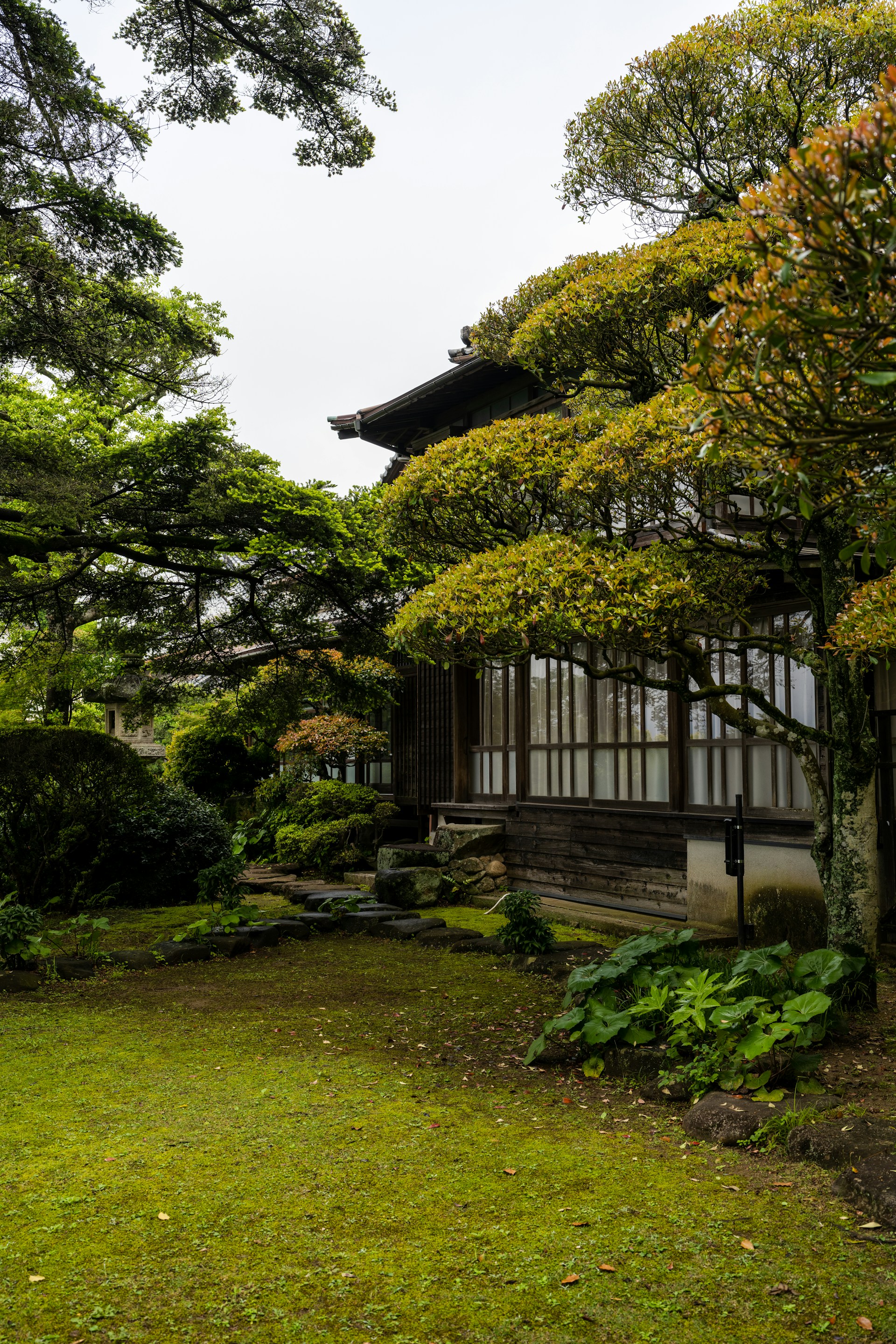 woman wearing yellow long-sleeved dress under white clouds and blue sky during daytime