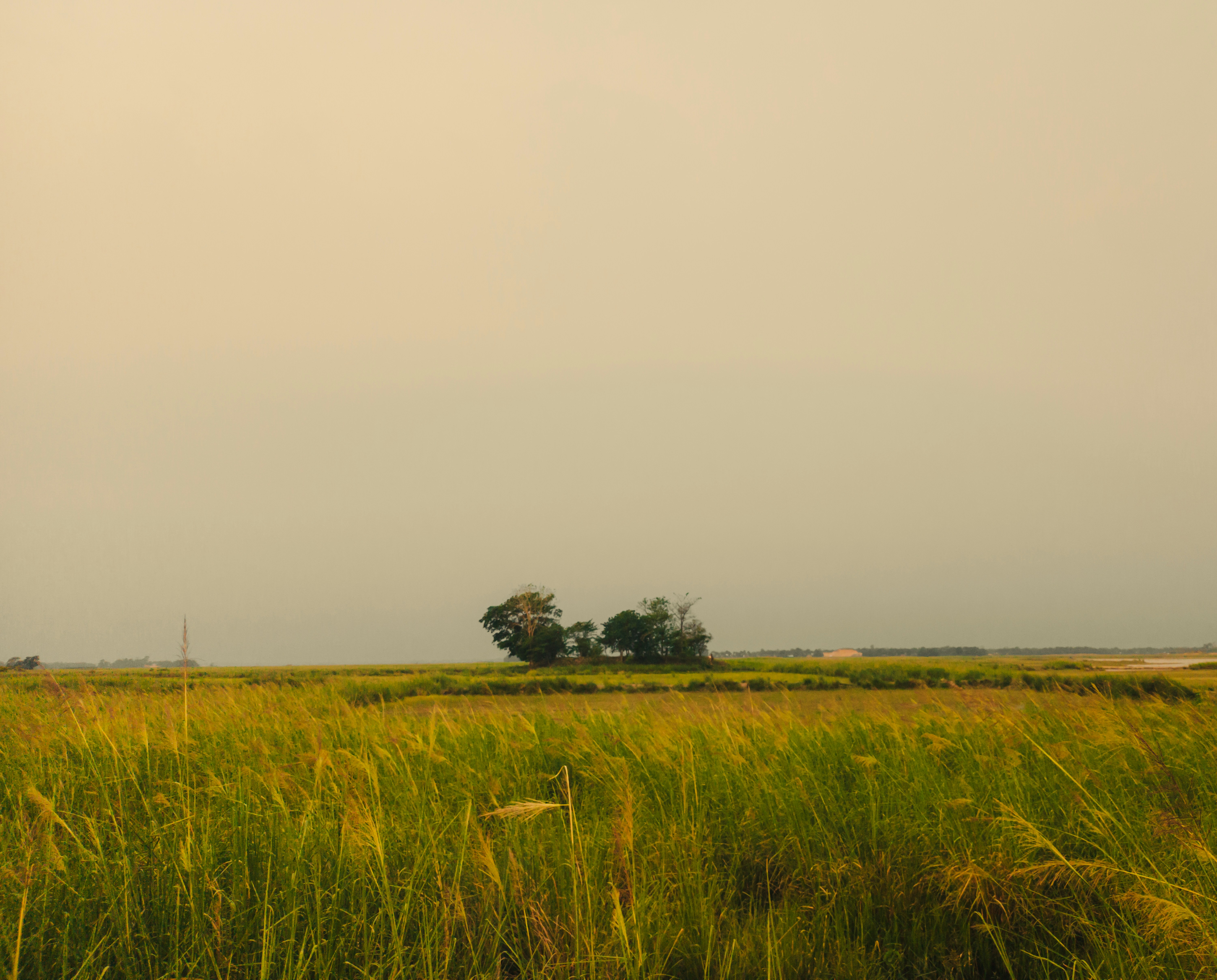 Photo by mr_brightside