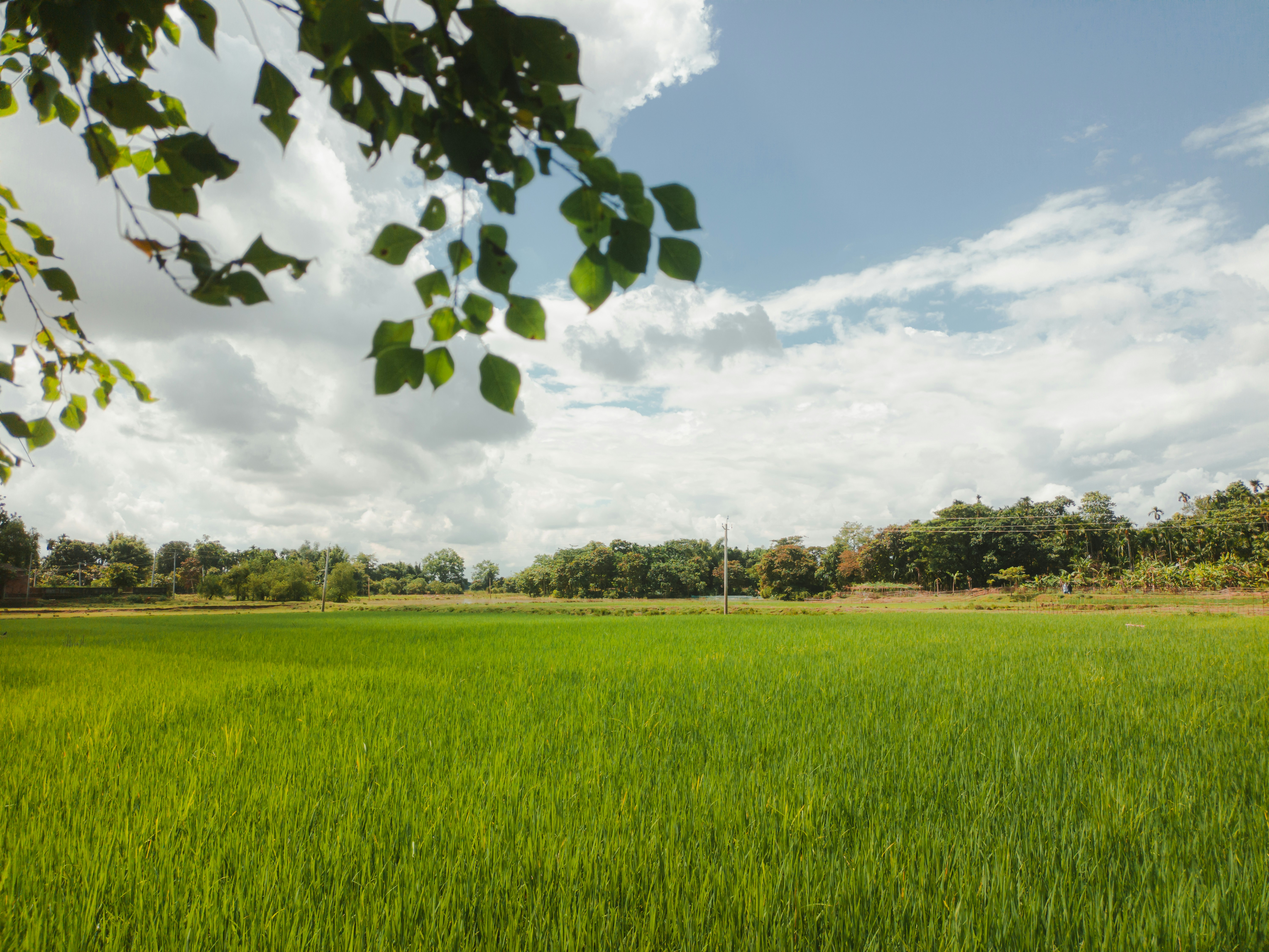 Photo by mr_brightside