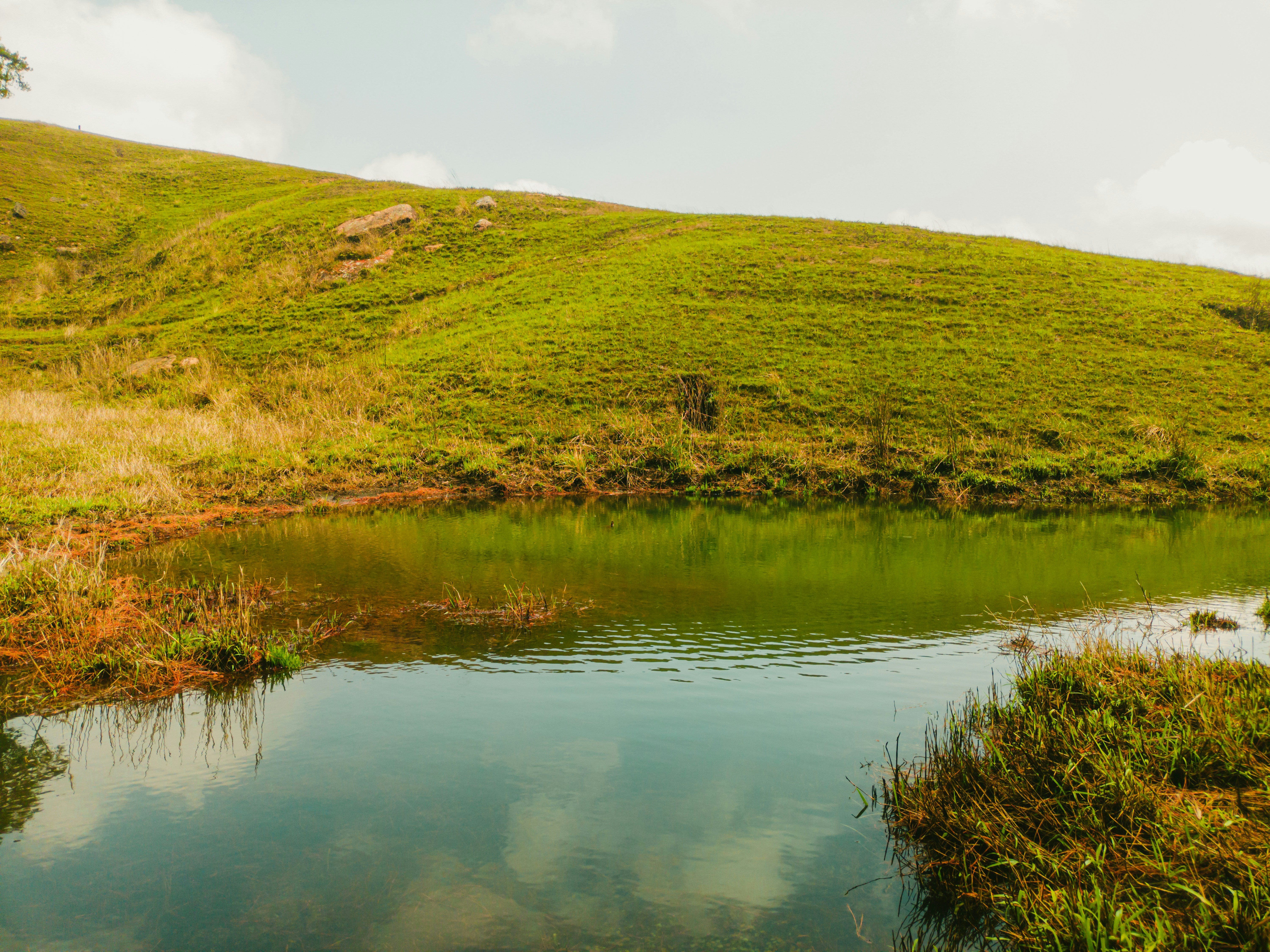 Photo by mr_brightside