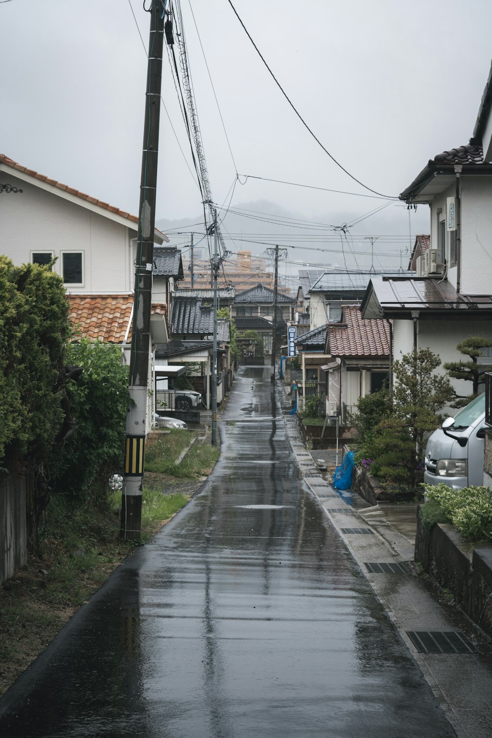 a wet street with houses and power lines