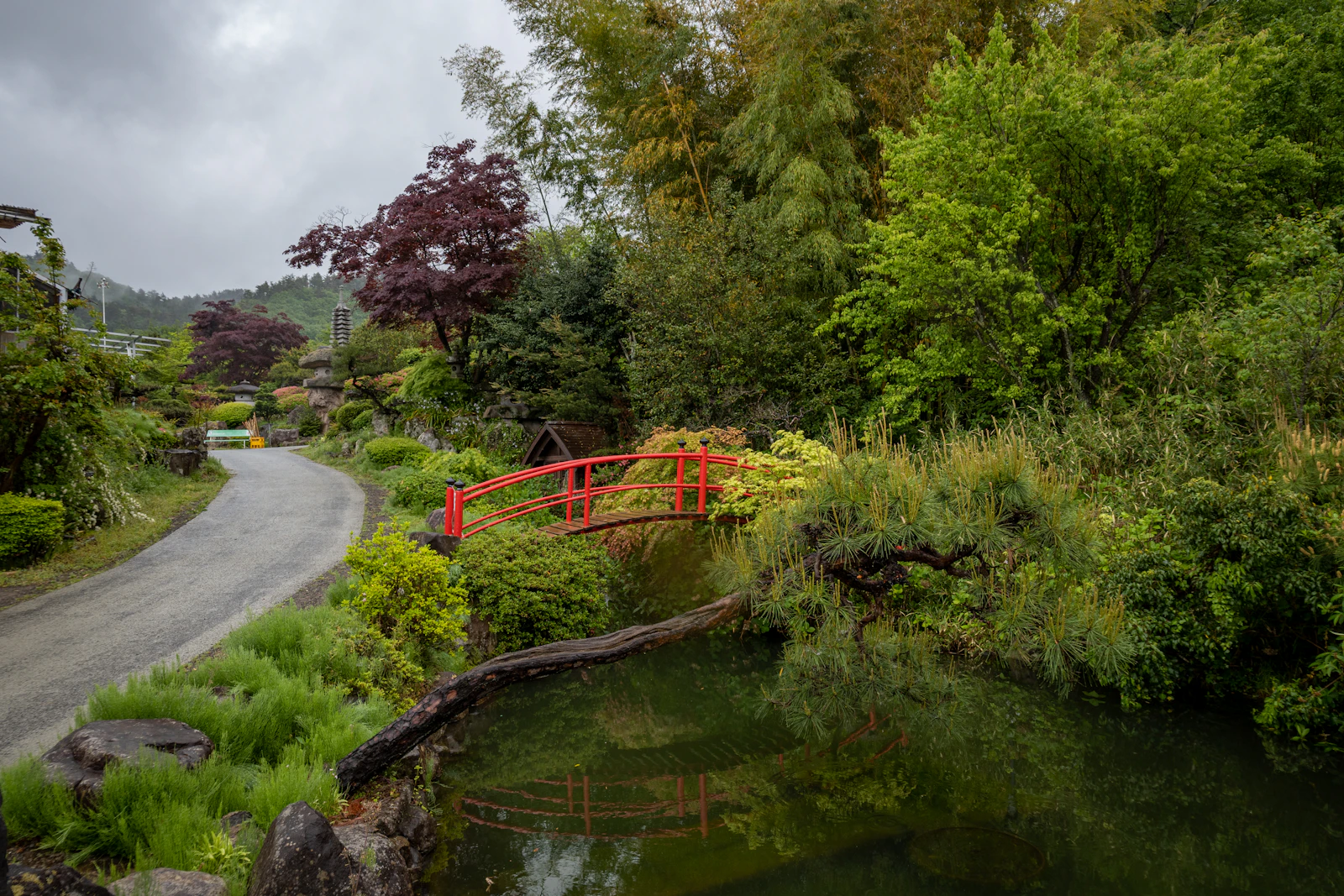 A red bridge over a small pond in a park