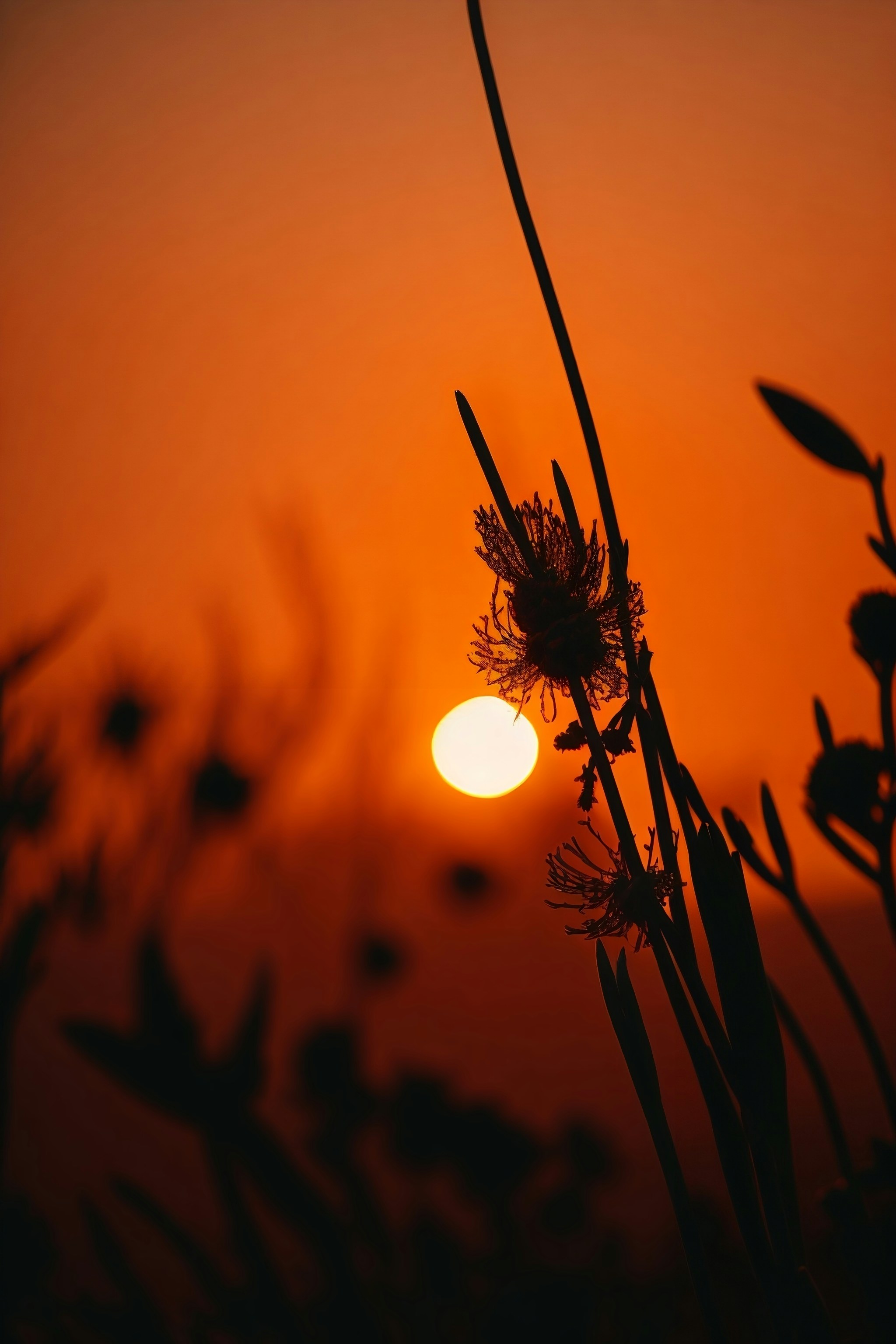 Photo by summer_shadow