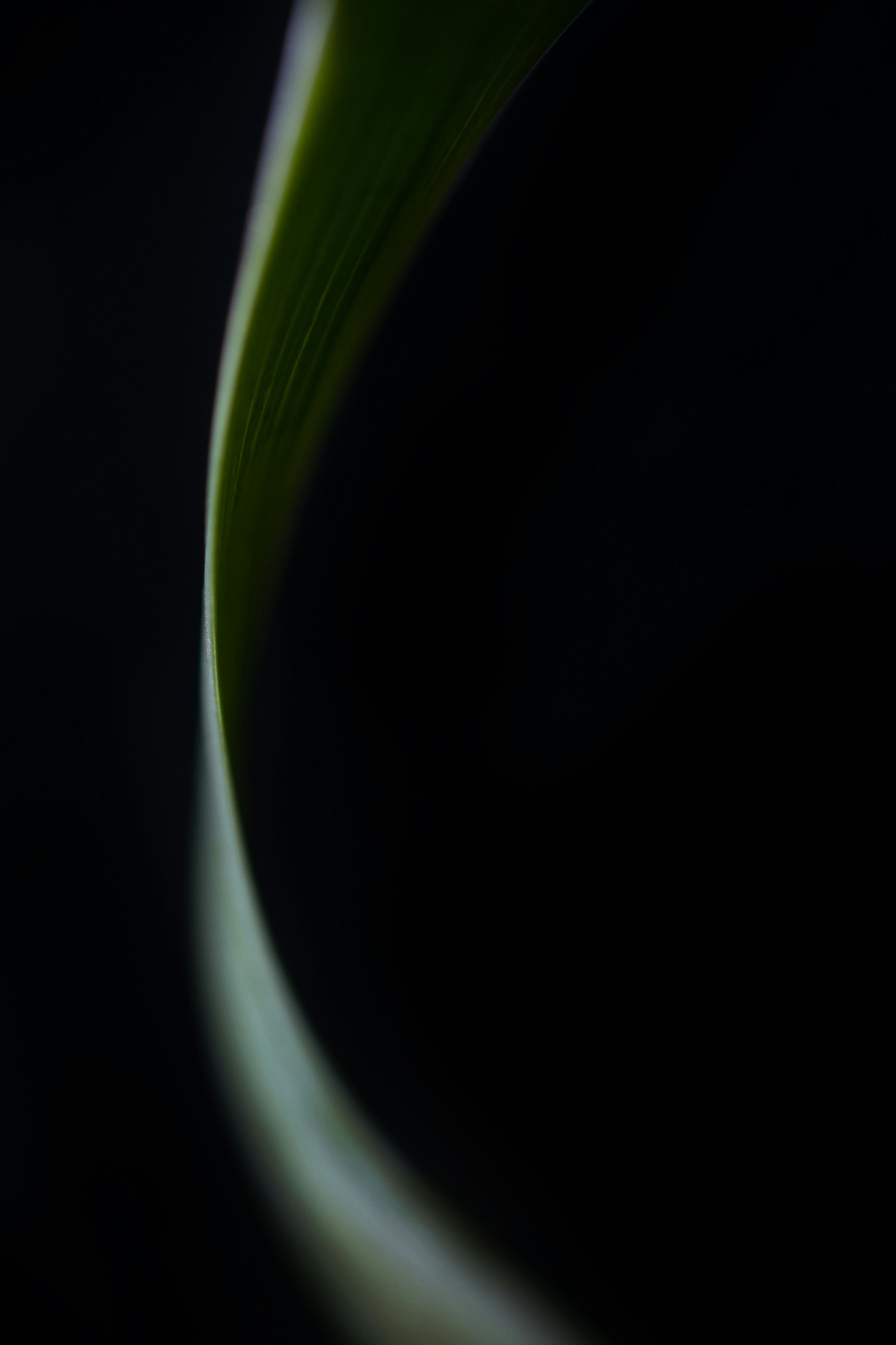 Photo by devo1968