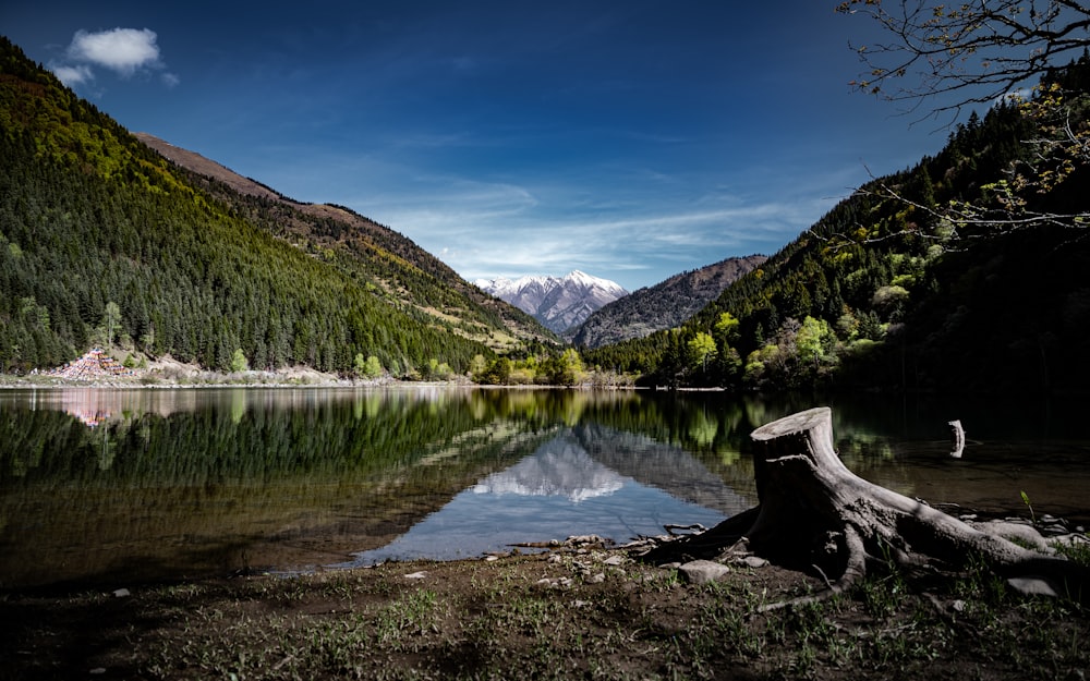 un lac entouré de montagnes avec une souche d’arbre au premier plan
