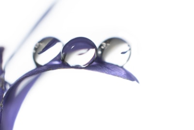 Three water droplets are delicately placed on a curved purple petal or leaf, with a clear white background.