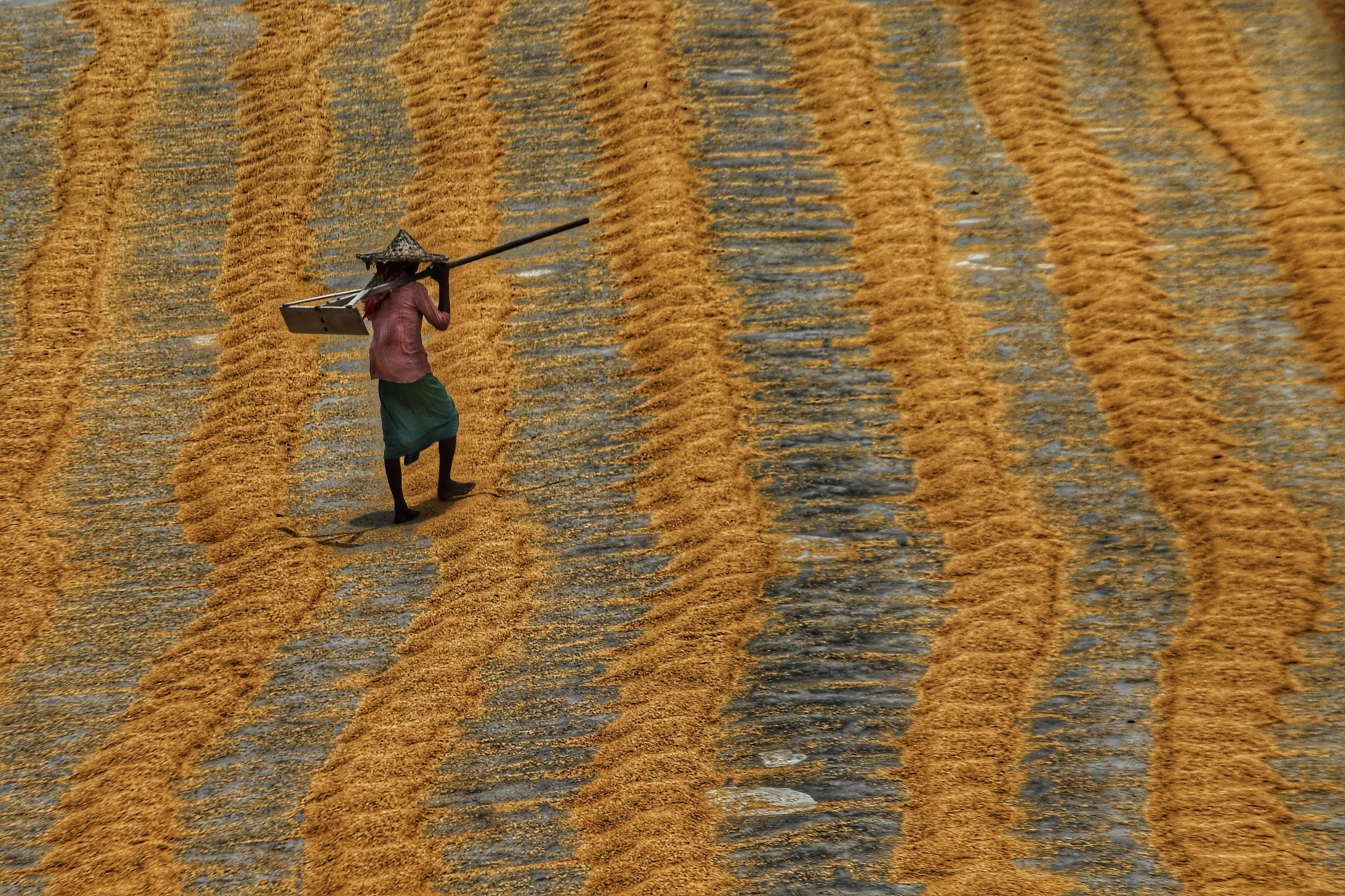 Photo by dibakar16roy