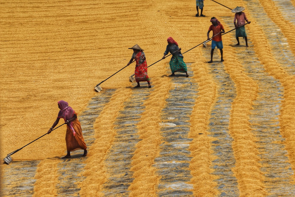 a group of people walking across a field