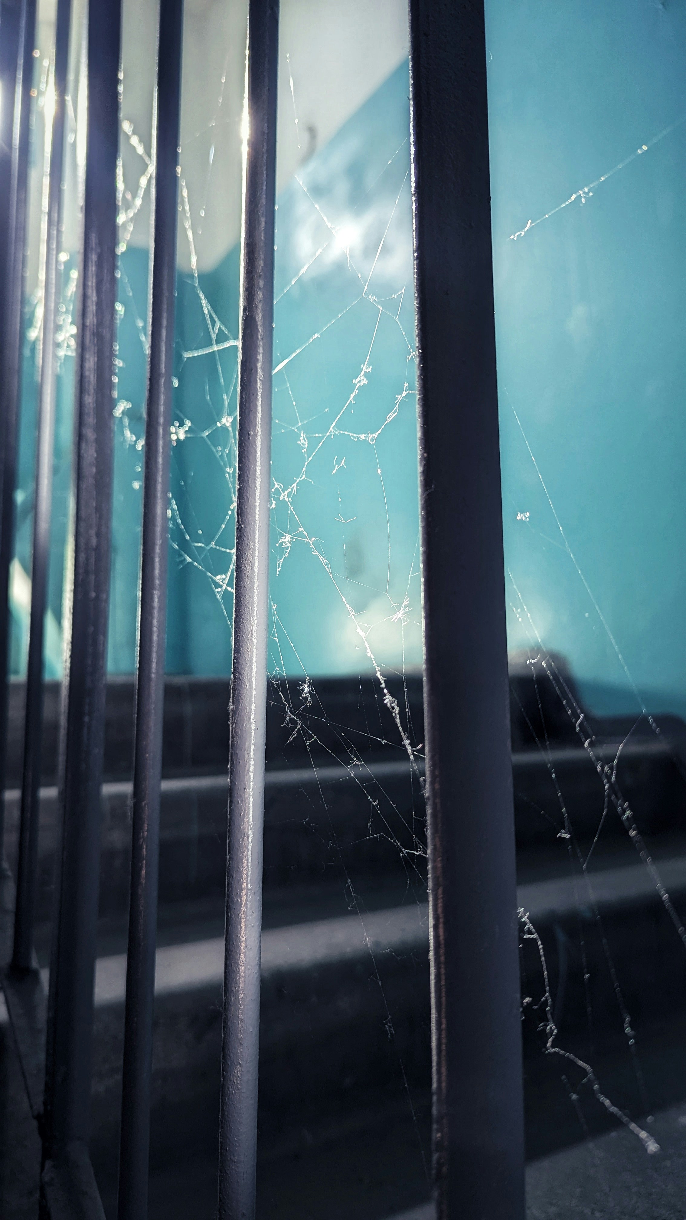 a close up of a window with a spider web on it